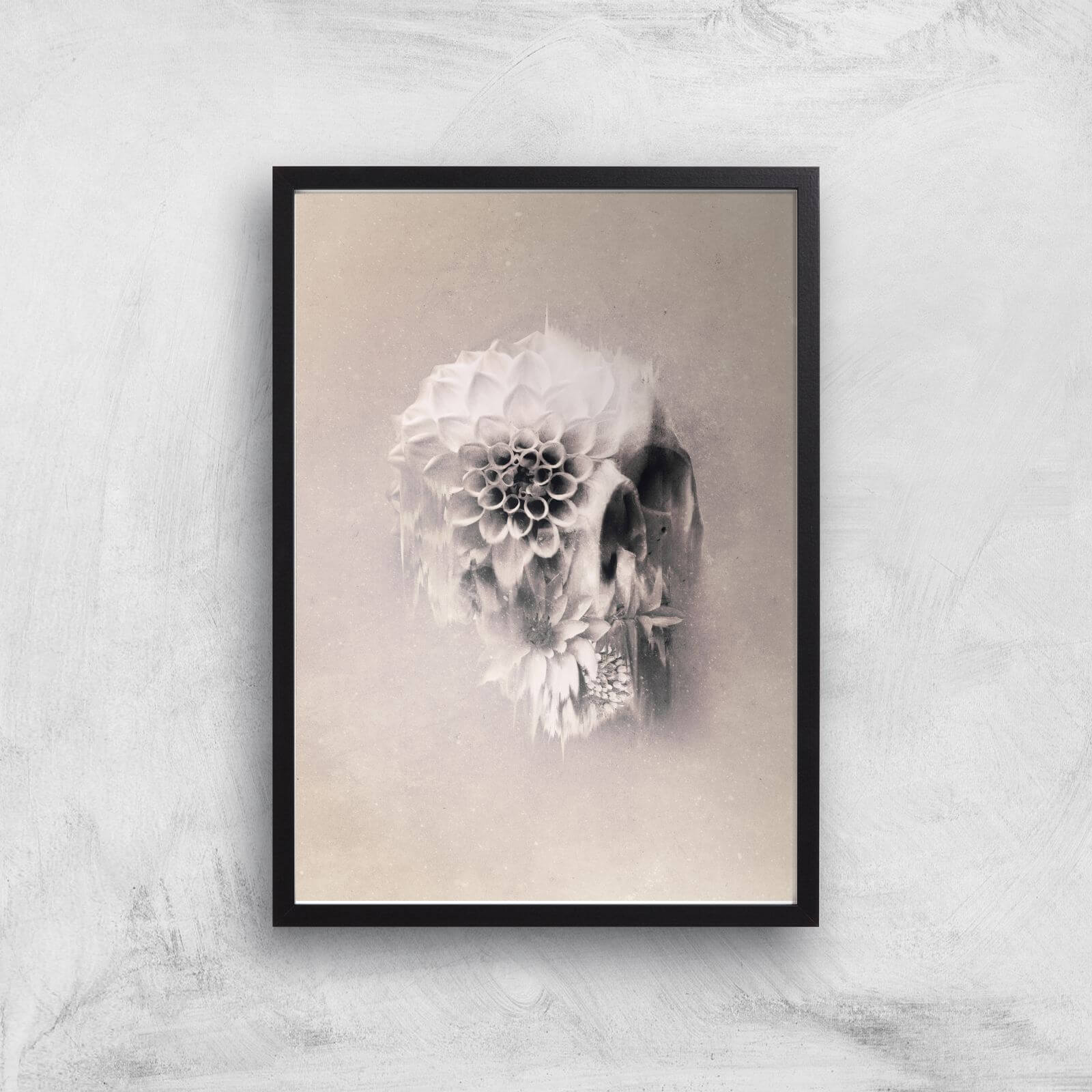 Ikiiki Decay Skull Giclee Art Print - A3 - Black Frame