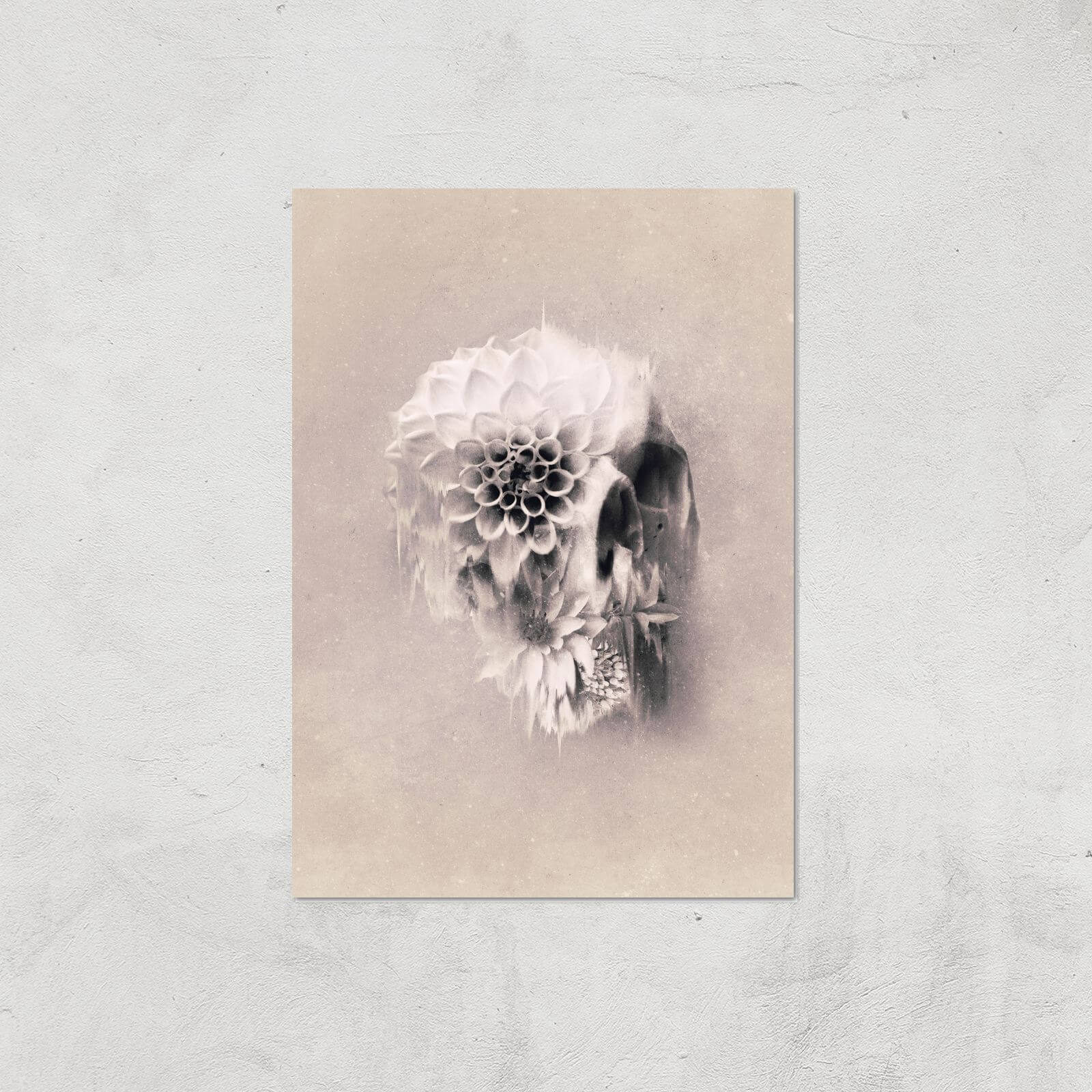 Ikiiki Decay Skull Giclee Art Print - A2 - Print Only