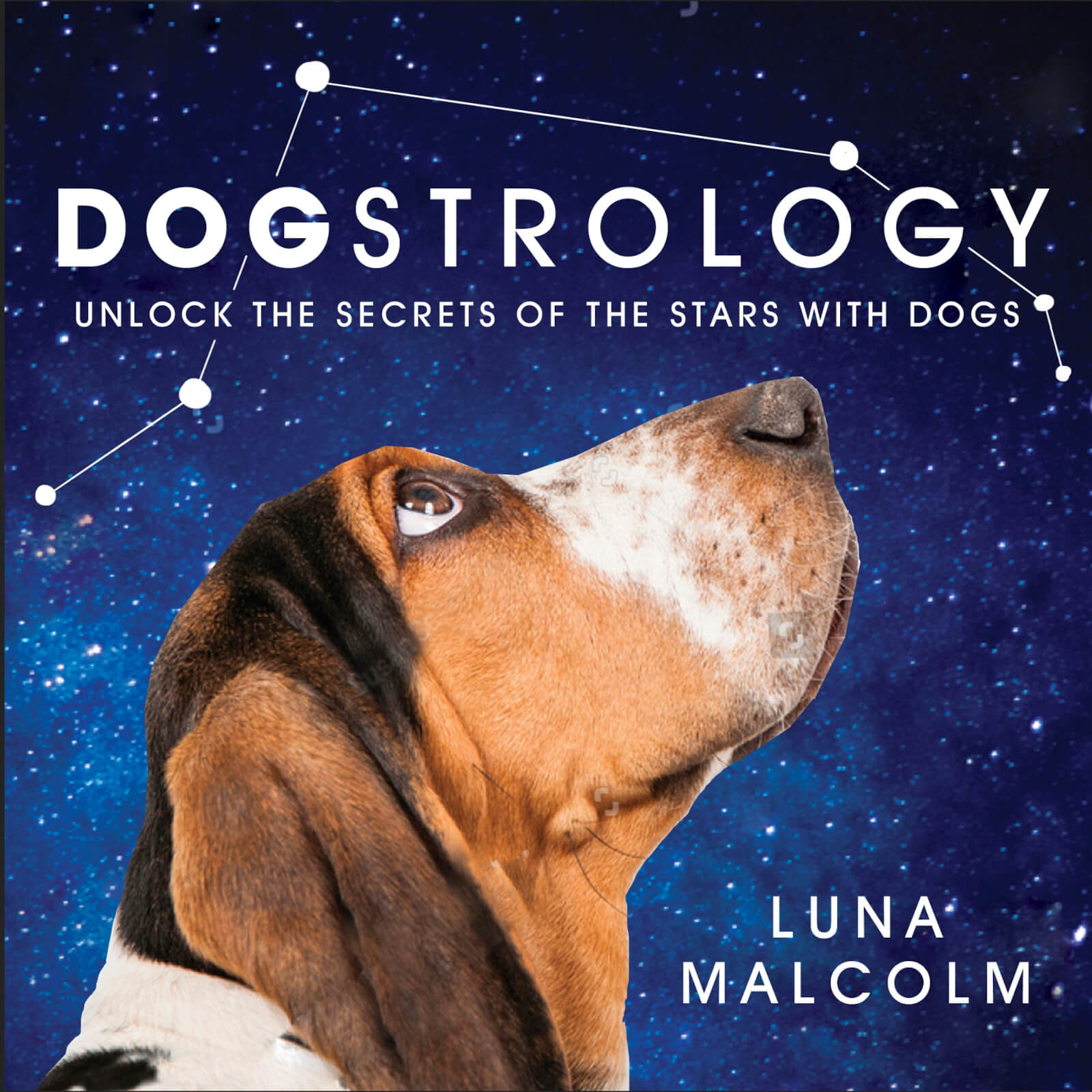 Dogstrology Book