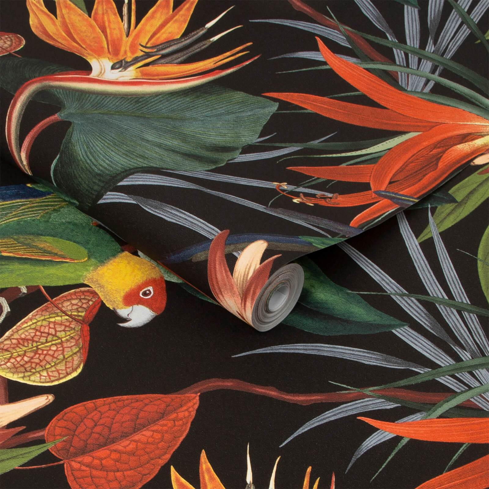 Superfresco Easy Black Exotic Parrot Tropical Wallpaper| 