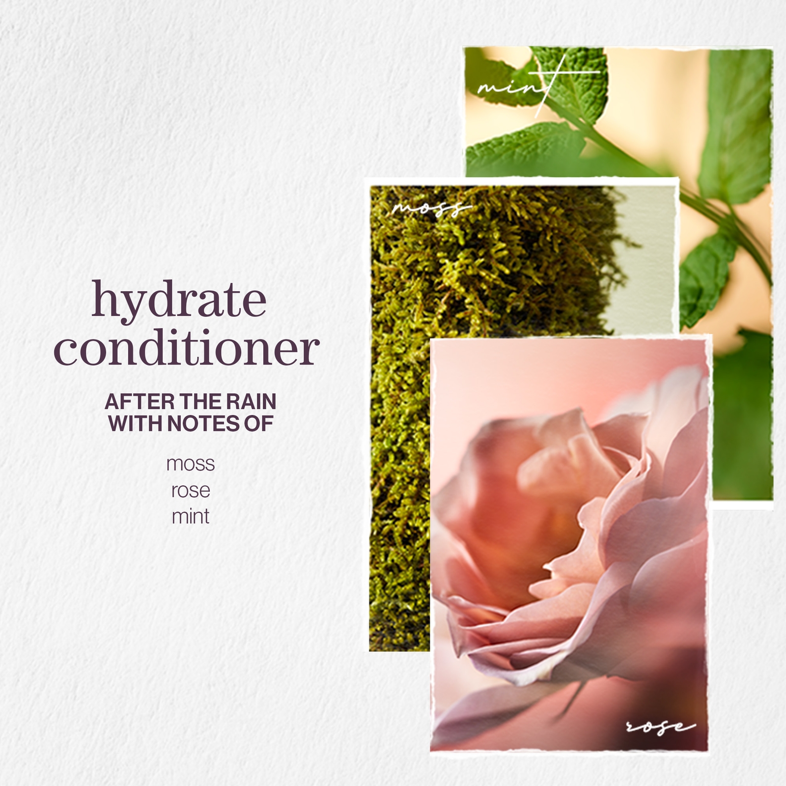 Thumbnail - Pureology Hydrate Conditioner Duo 2 x 266ml