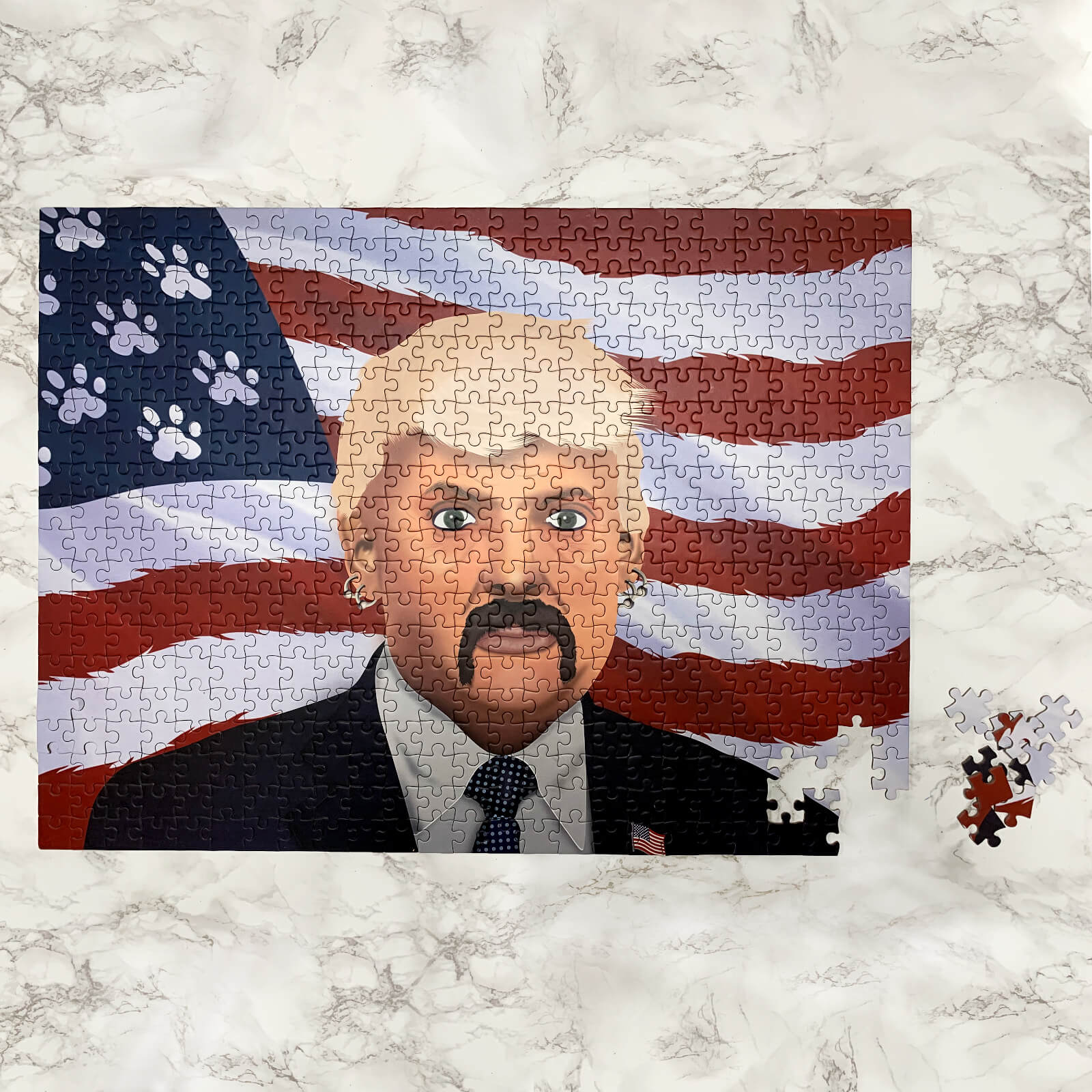 Image of The Exotic President Puzzle