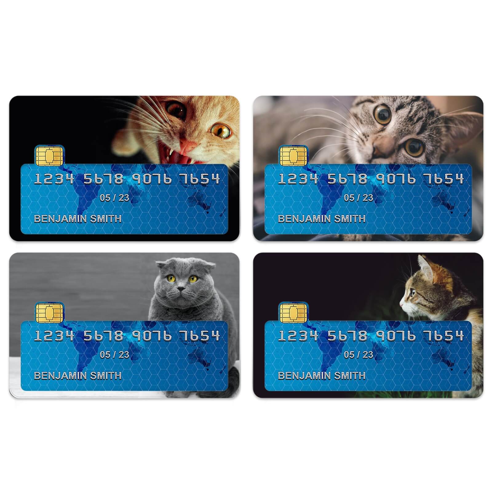 Cat Medley Credit Card Covers