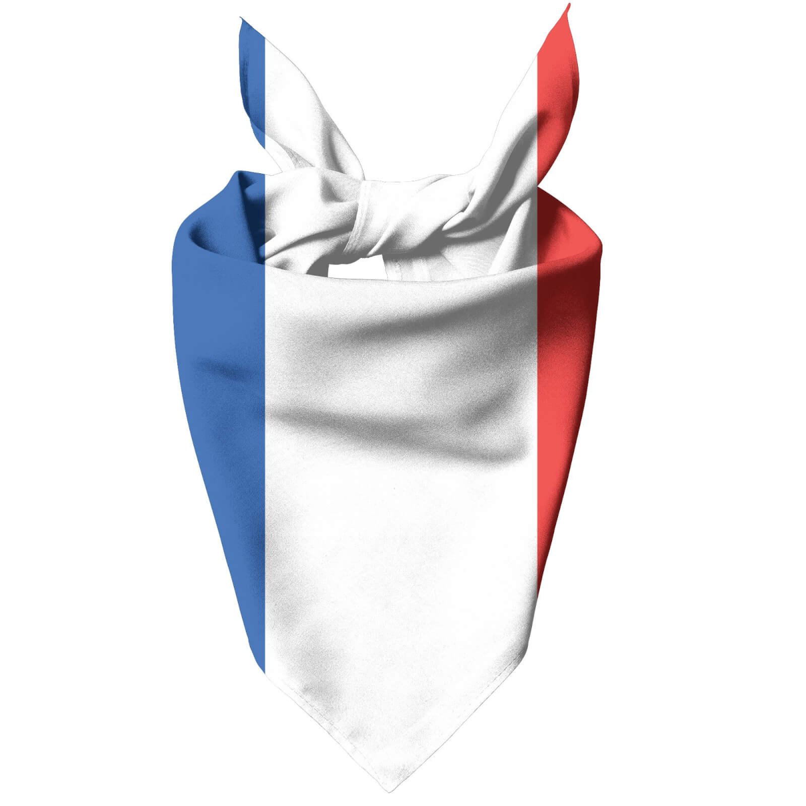 French Flag Pet Bandana - S
