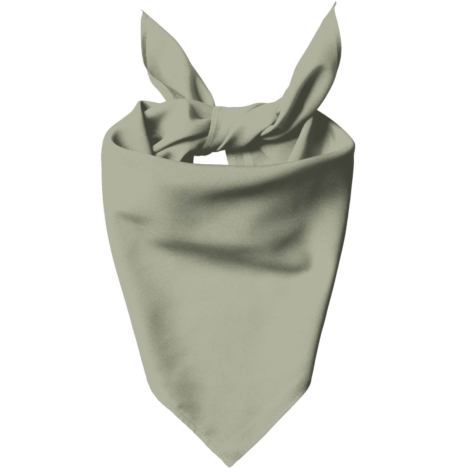 Sage Pet Bandana - S