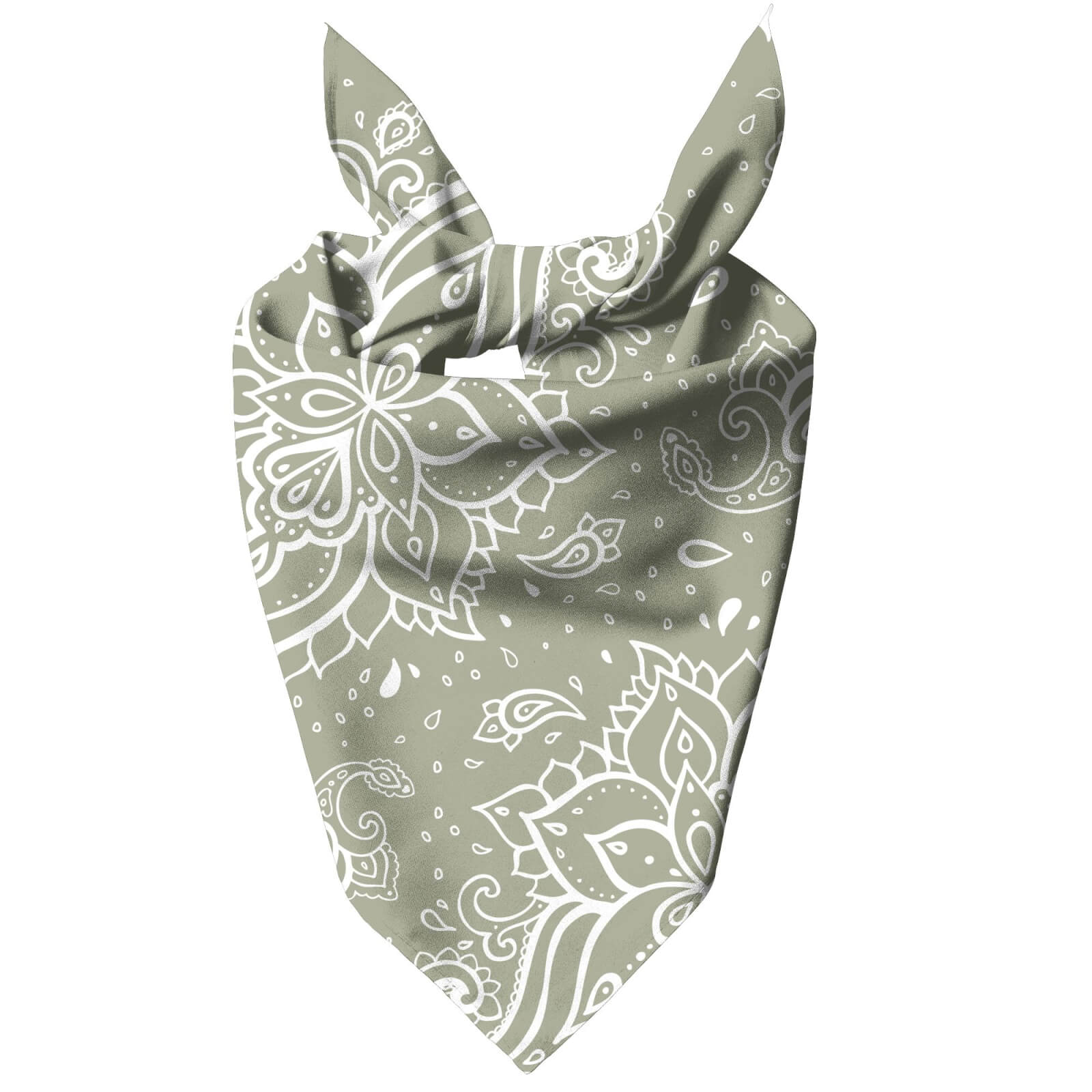 Siege Paisley Pet Bandana - Small