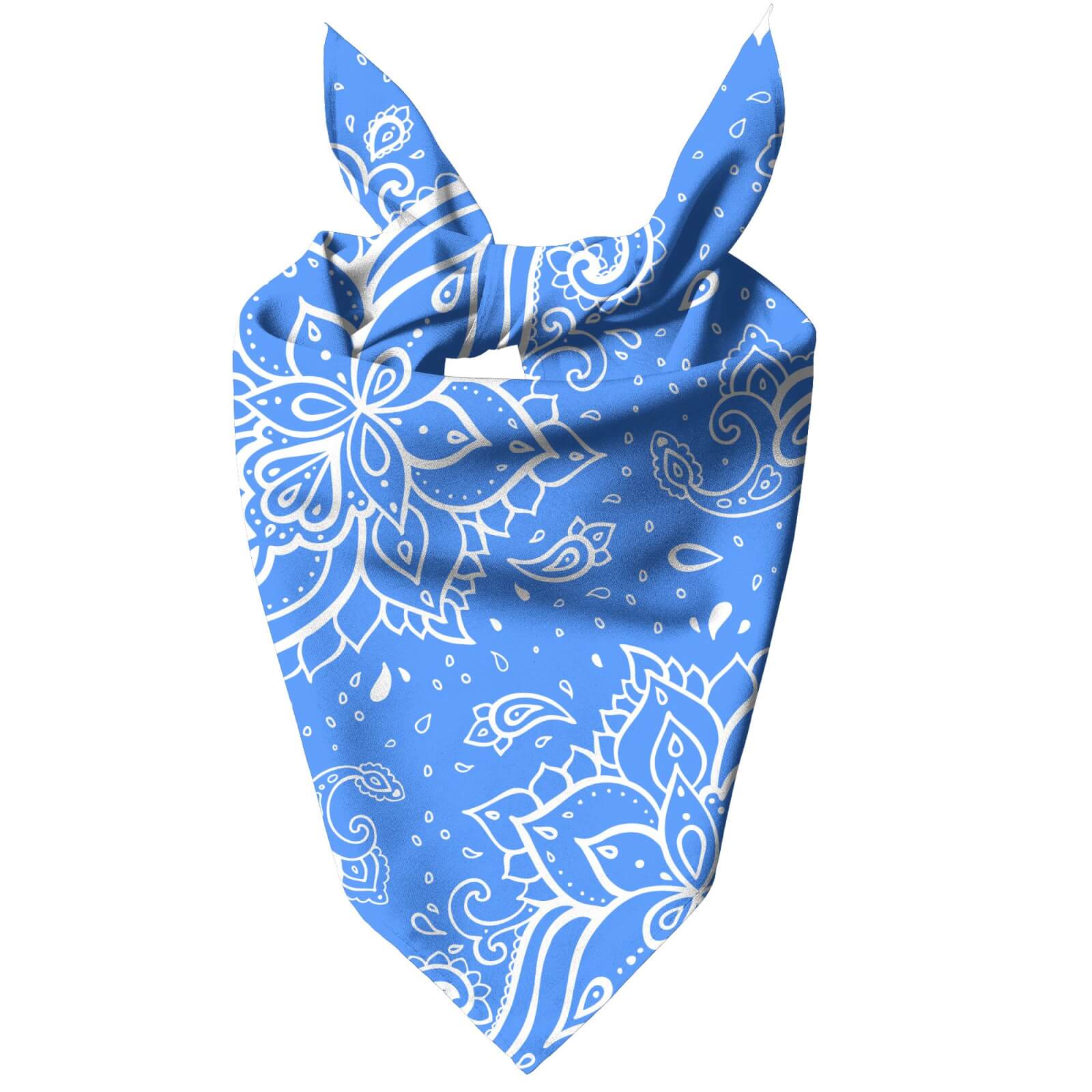 Sky Blue Paisley Pet Bandana - Small