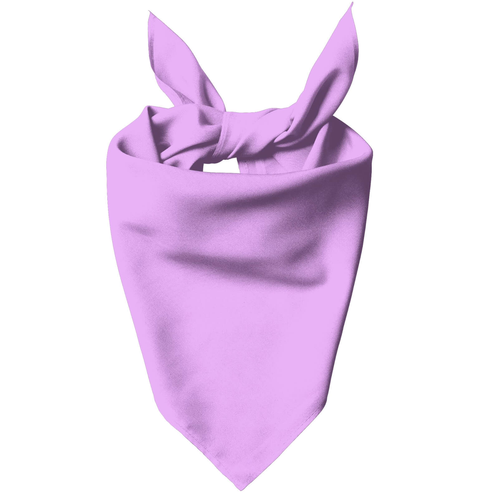 Purple Pet Bandana - Small