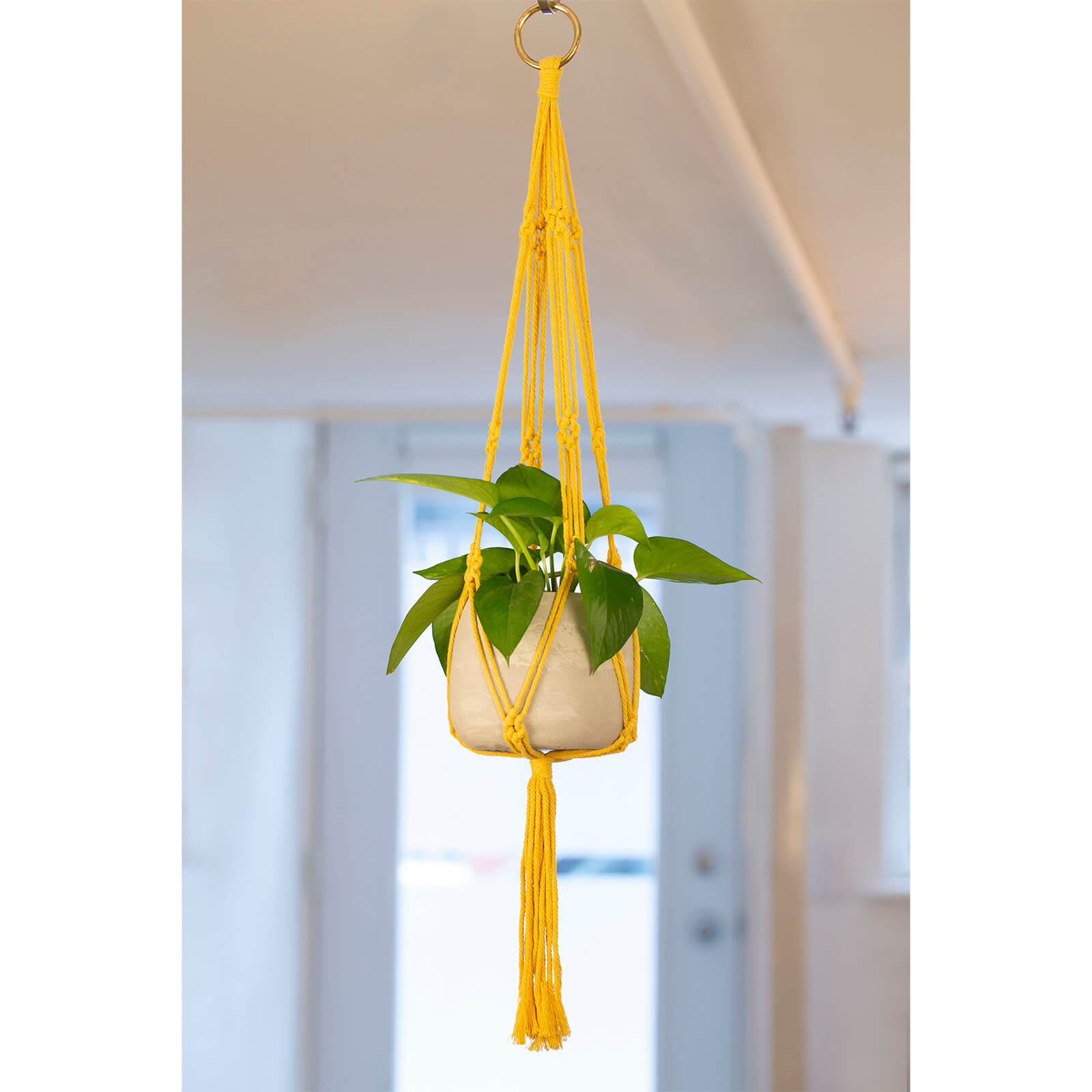 Kikkerland Yellow Macrame + Cement Planter