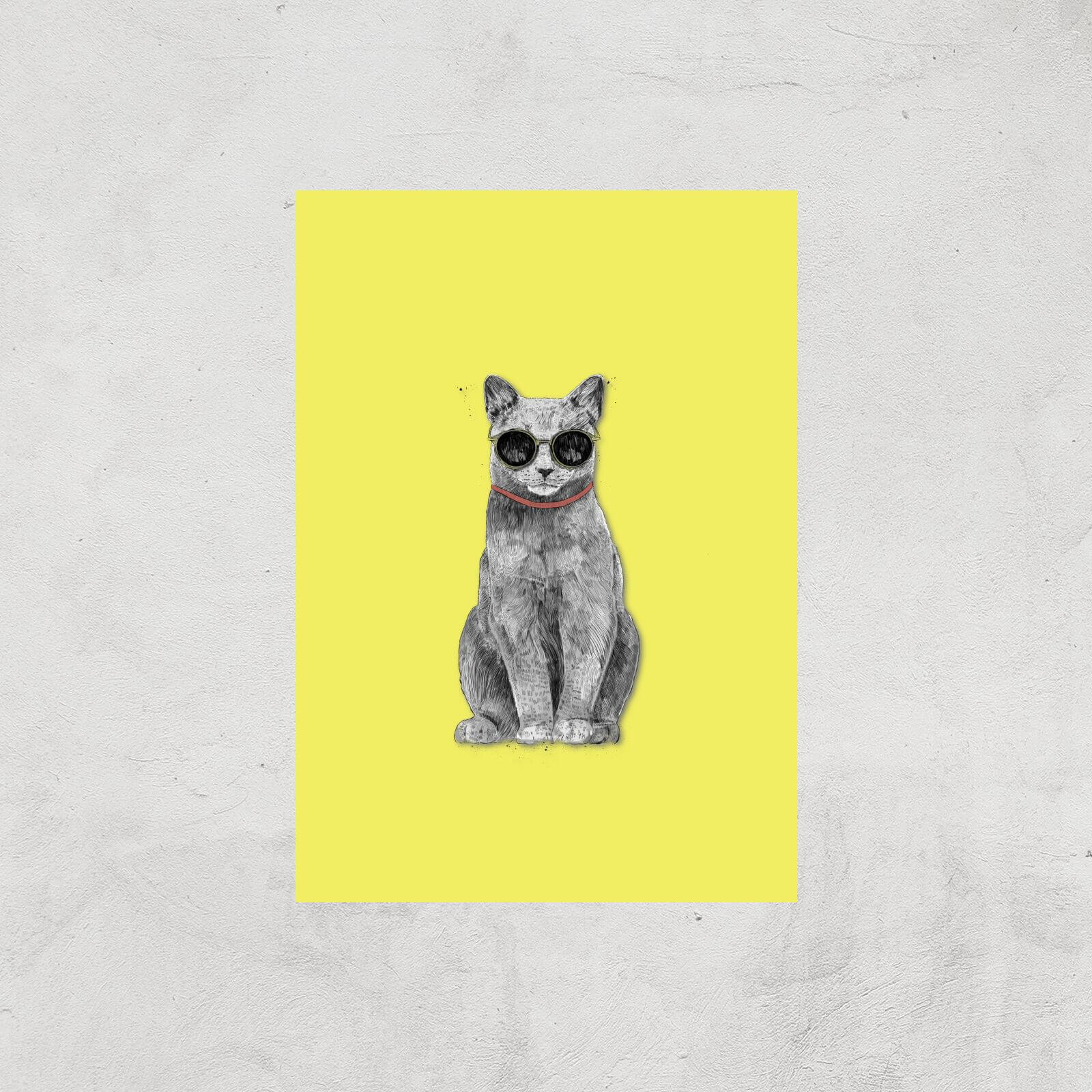 Summer Cat Giclee Art Print - A2 - Print Only