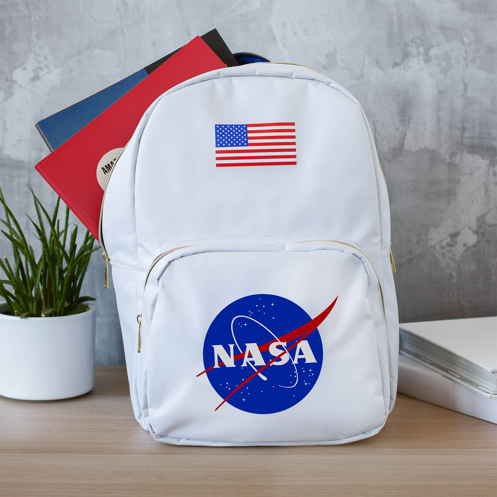 Image of NASA Backpack