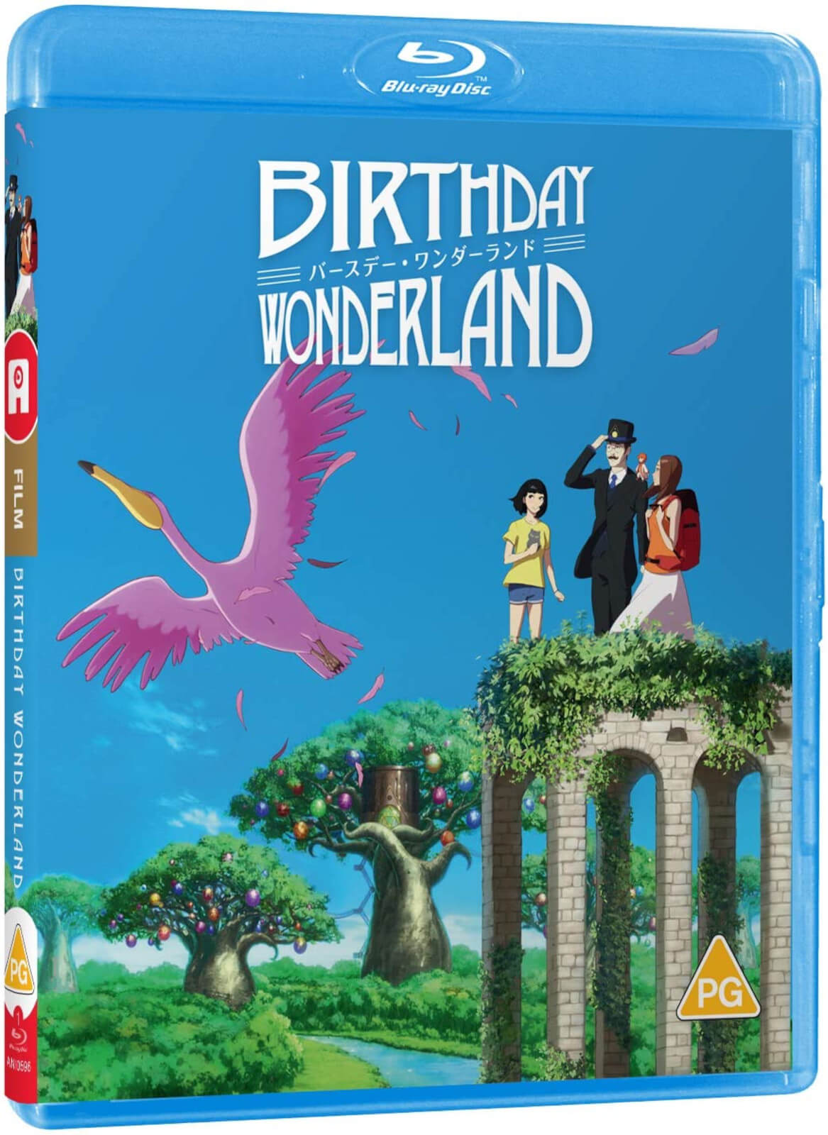 Birthday Wonderland - Standard Edition
