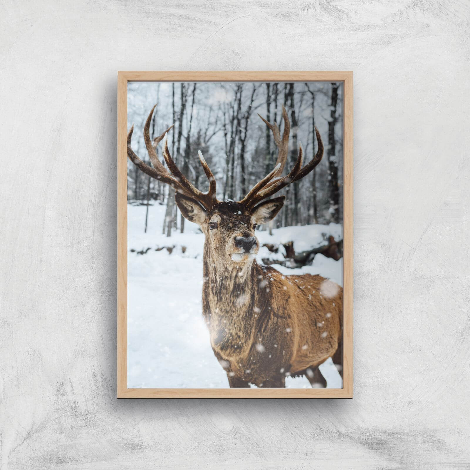 Reindeer Giclee Art Print - A3 - Wooden Frame