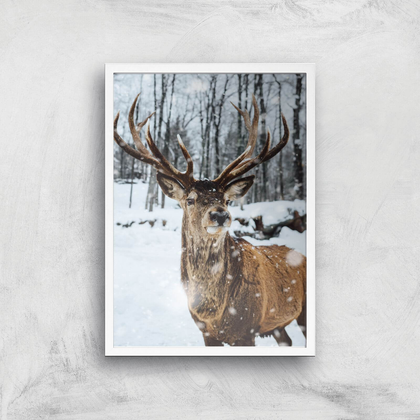 Reindeer Giclee Art Print - A3 - White Frame