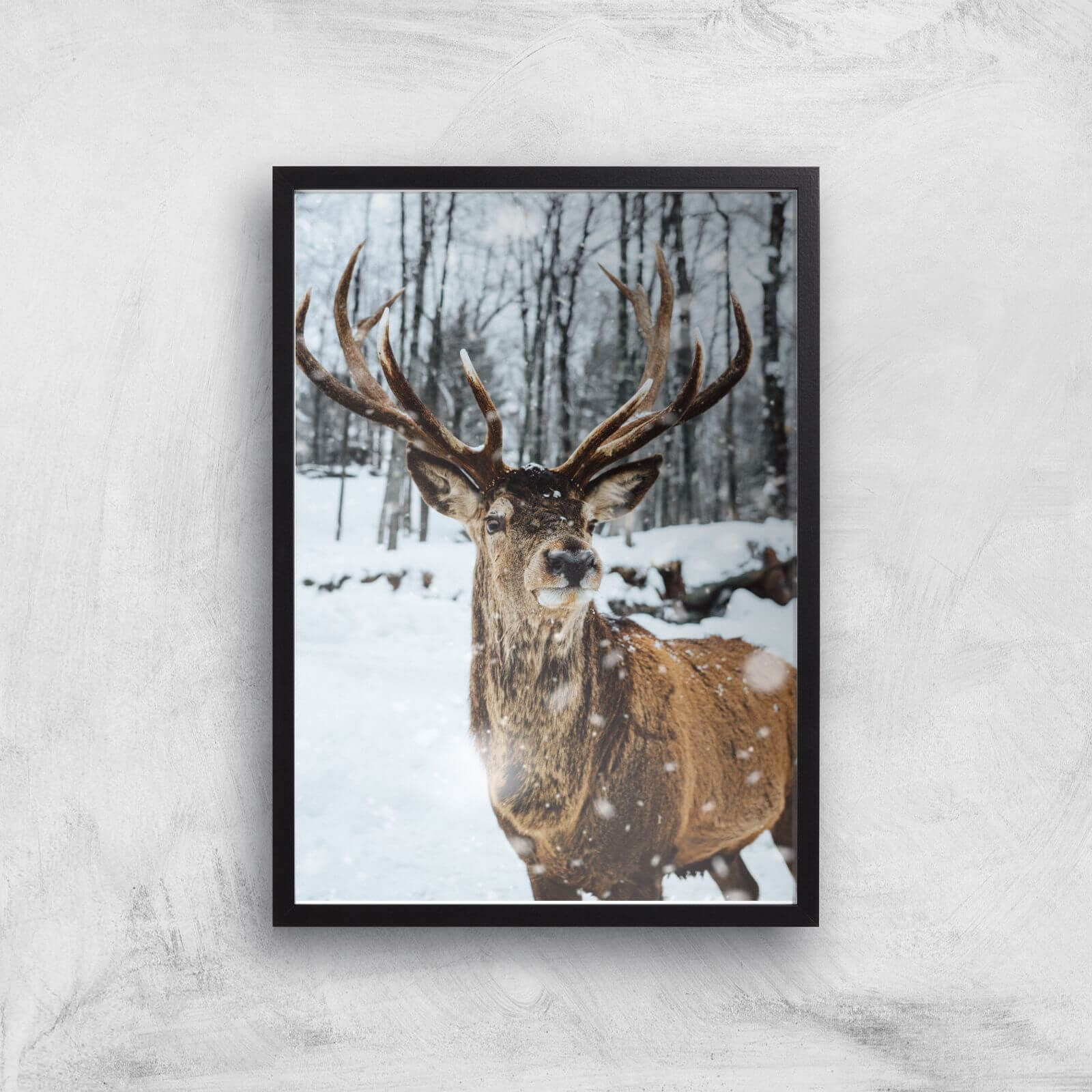 Reindeer Giclee Art Print - A3 - Black Frame