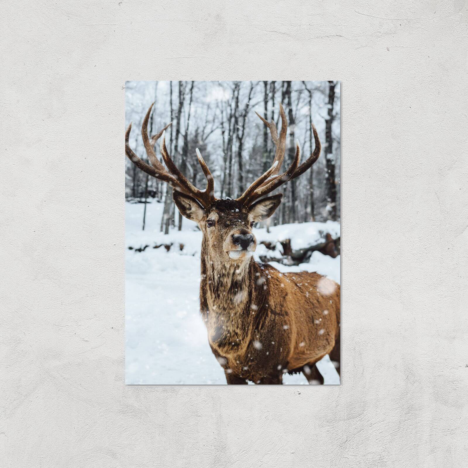 Reindeer Giclee Art Print - A2 - Print Only