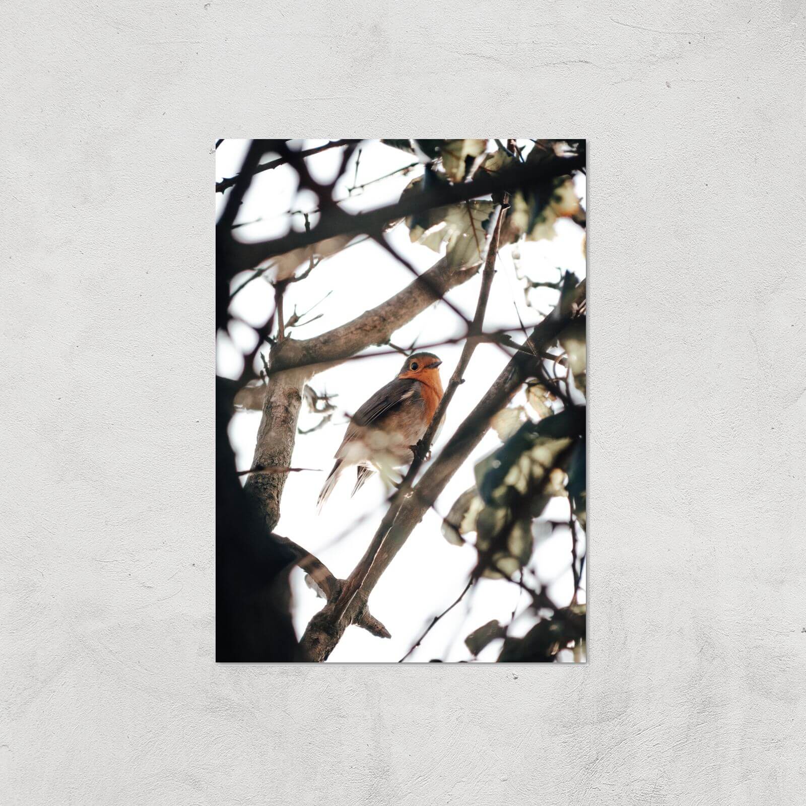 Winter Robin Giclee Art Print - A4 - Print Only