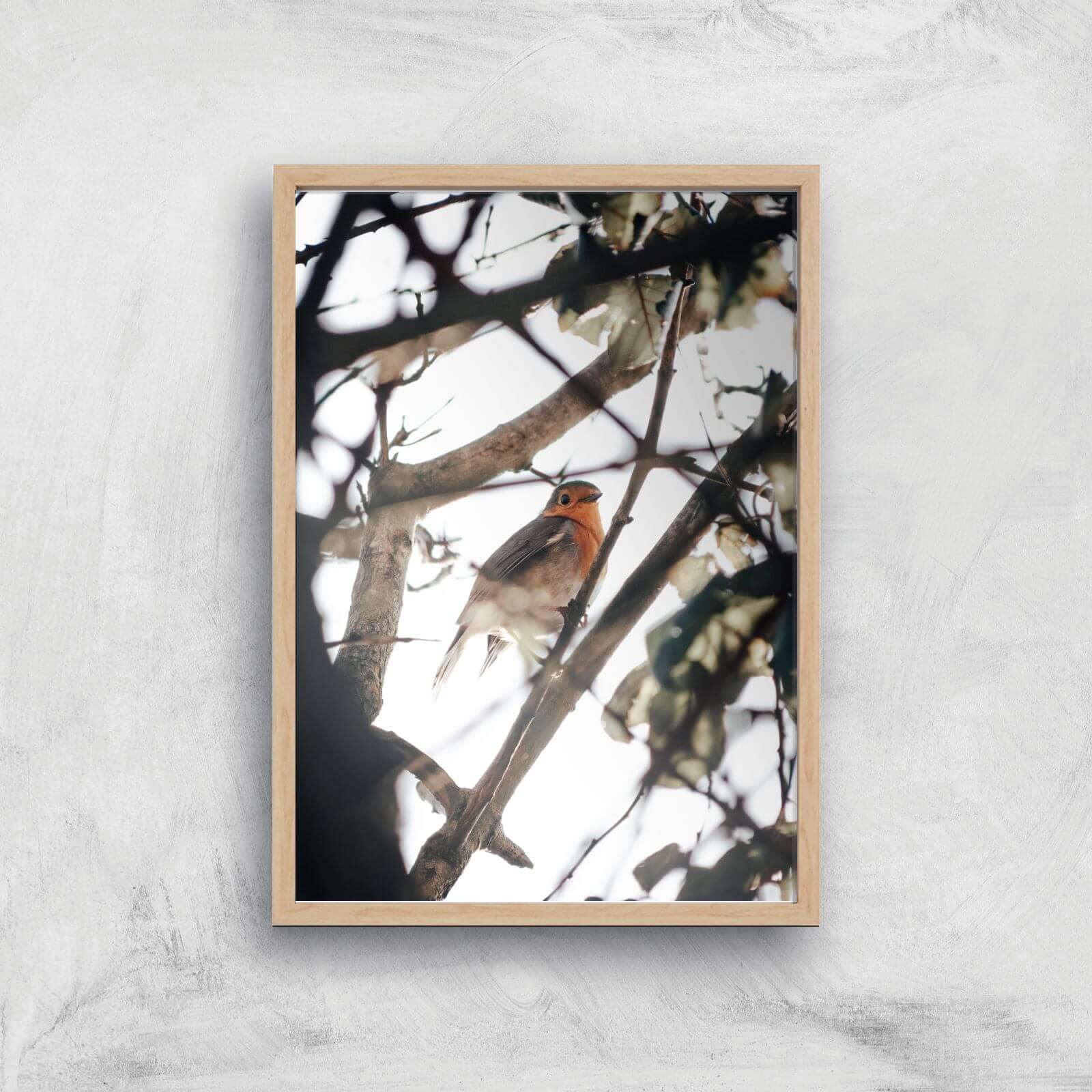 Winter Robin Giclee Art Print - A3 - Wooden Frame
