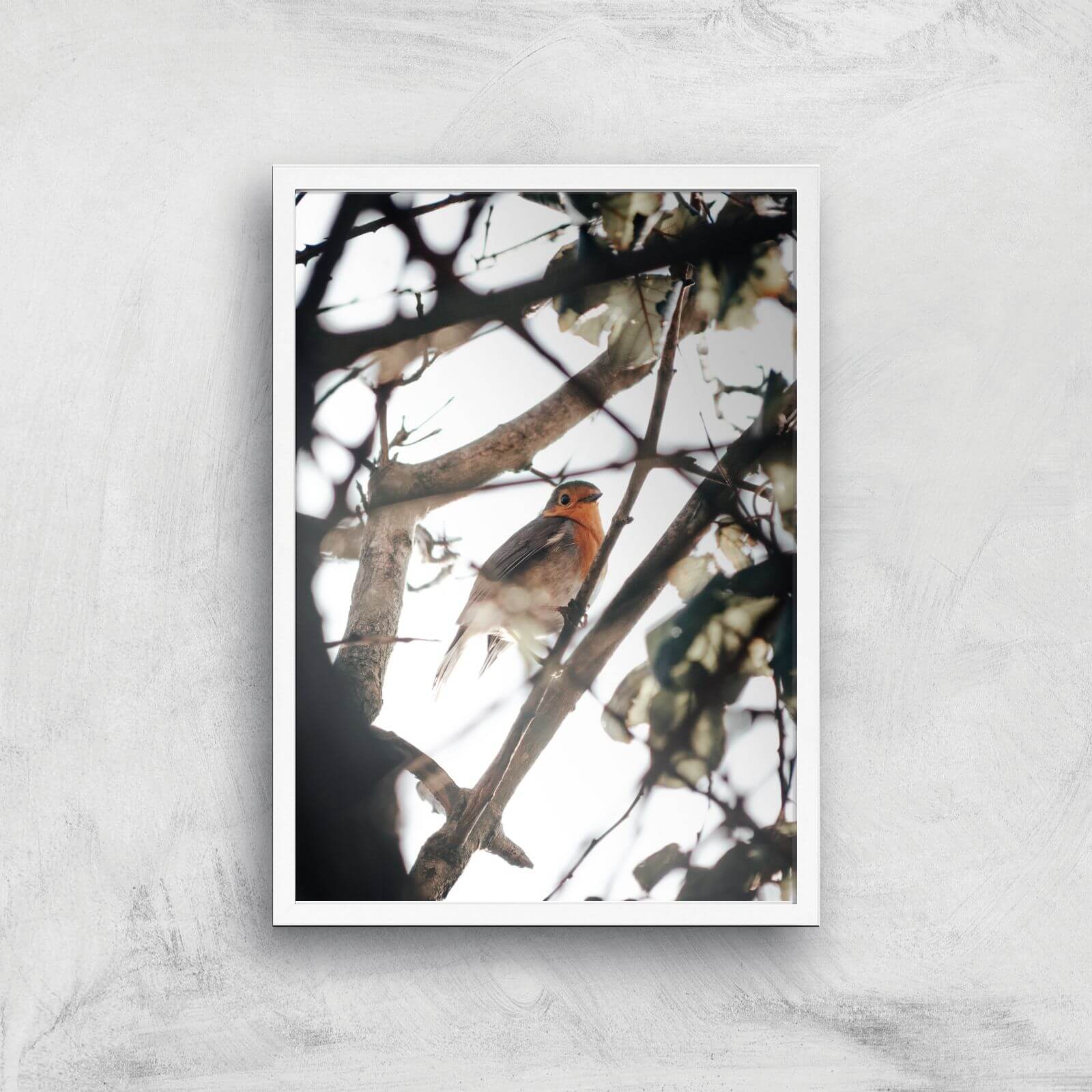 Winter Robin Giclee Art Print - A3 - White Frame