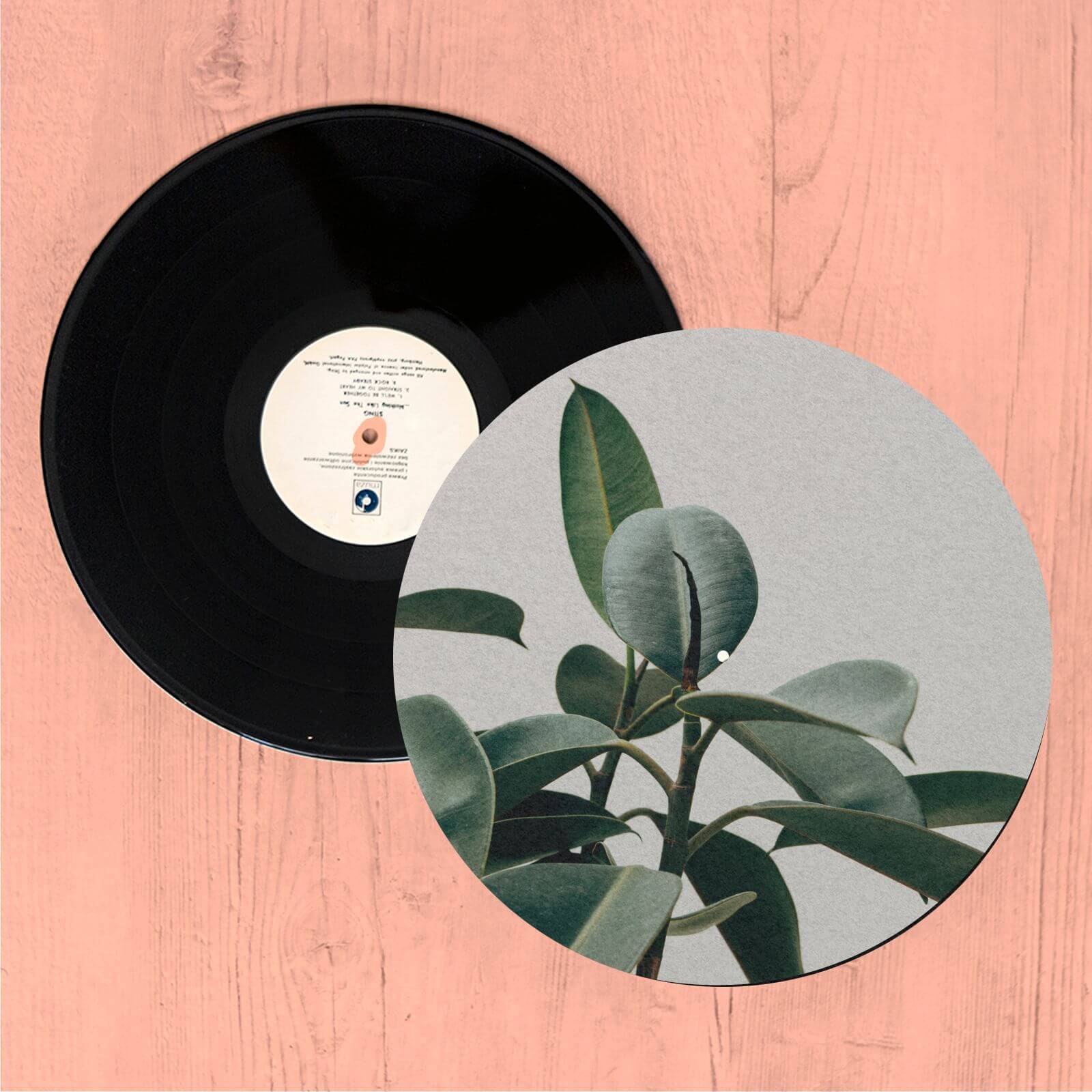 Plant Leaf Slip Mat