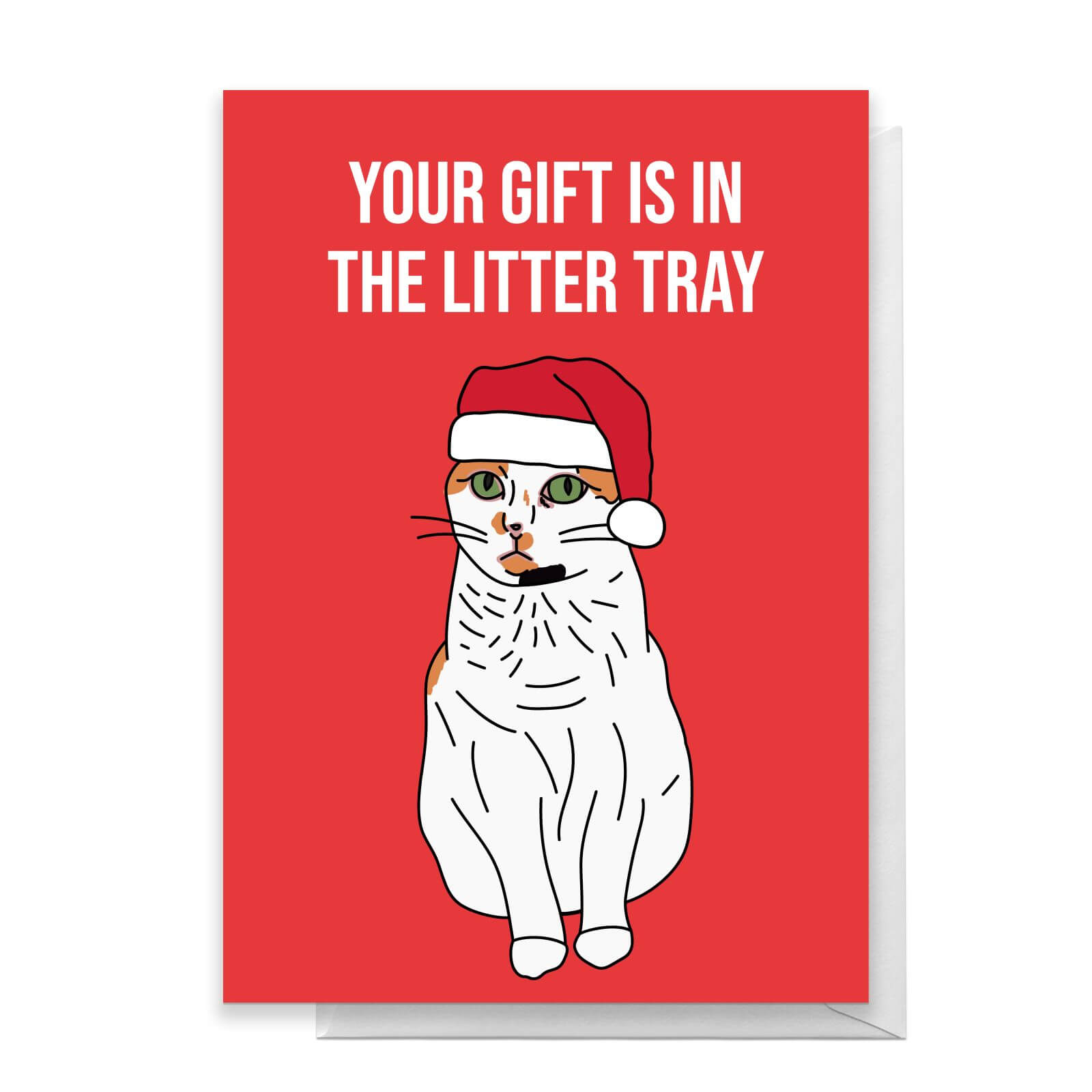 Your Gift Is In The Litter Tray Greetings Card - Standard Card