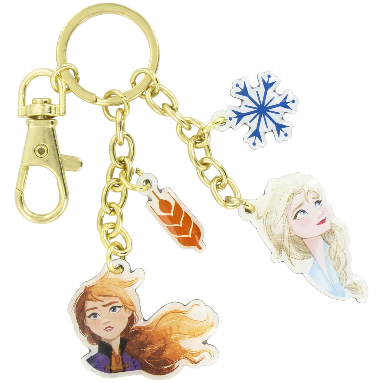 Image of Frozen Key Charms