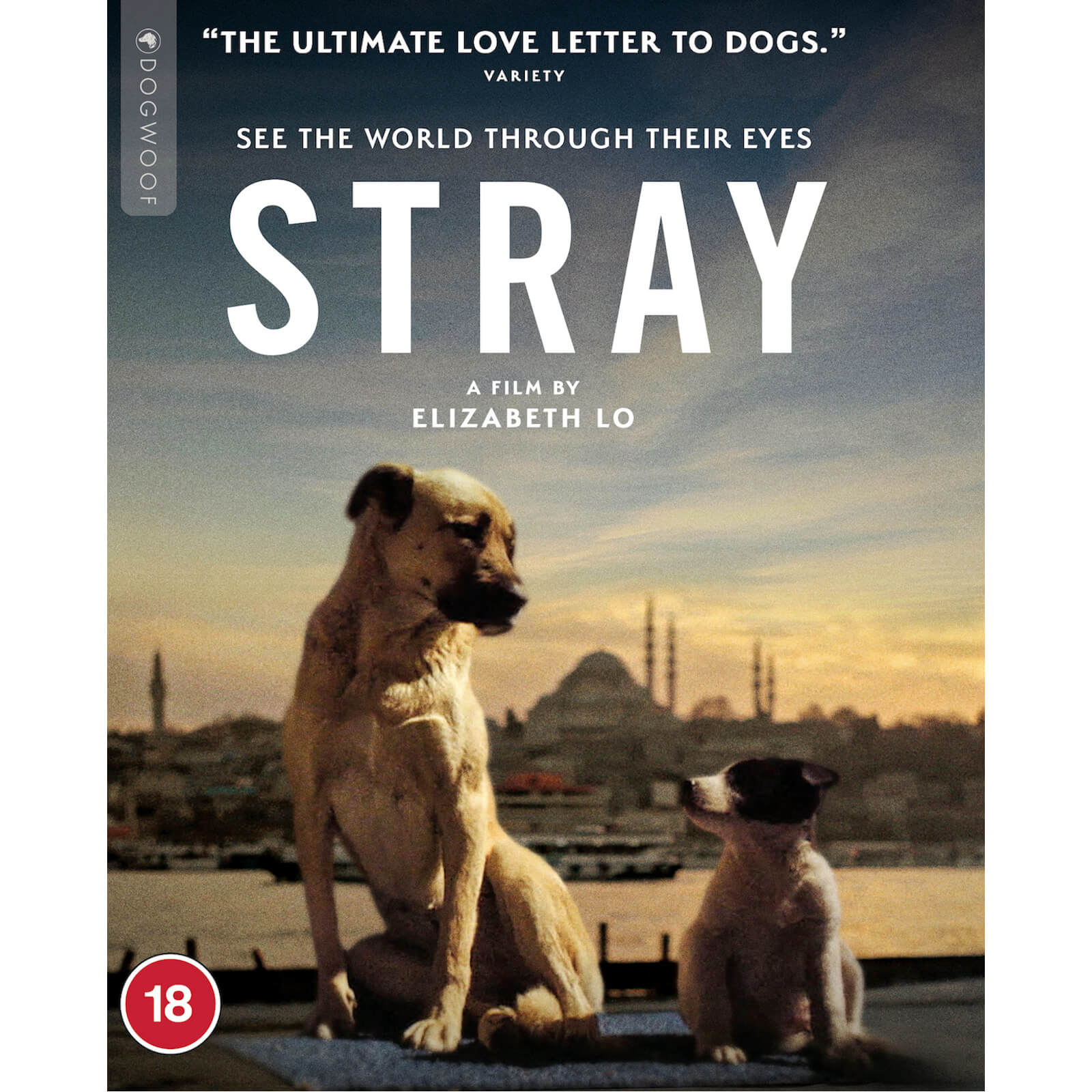 Stray