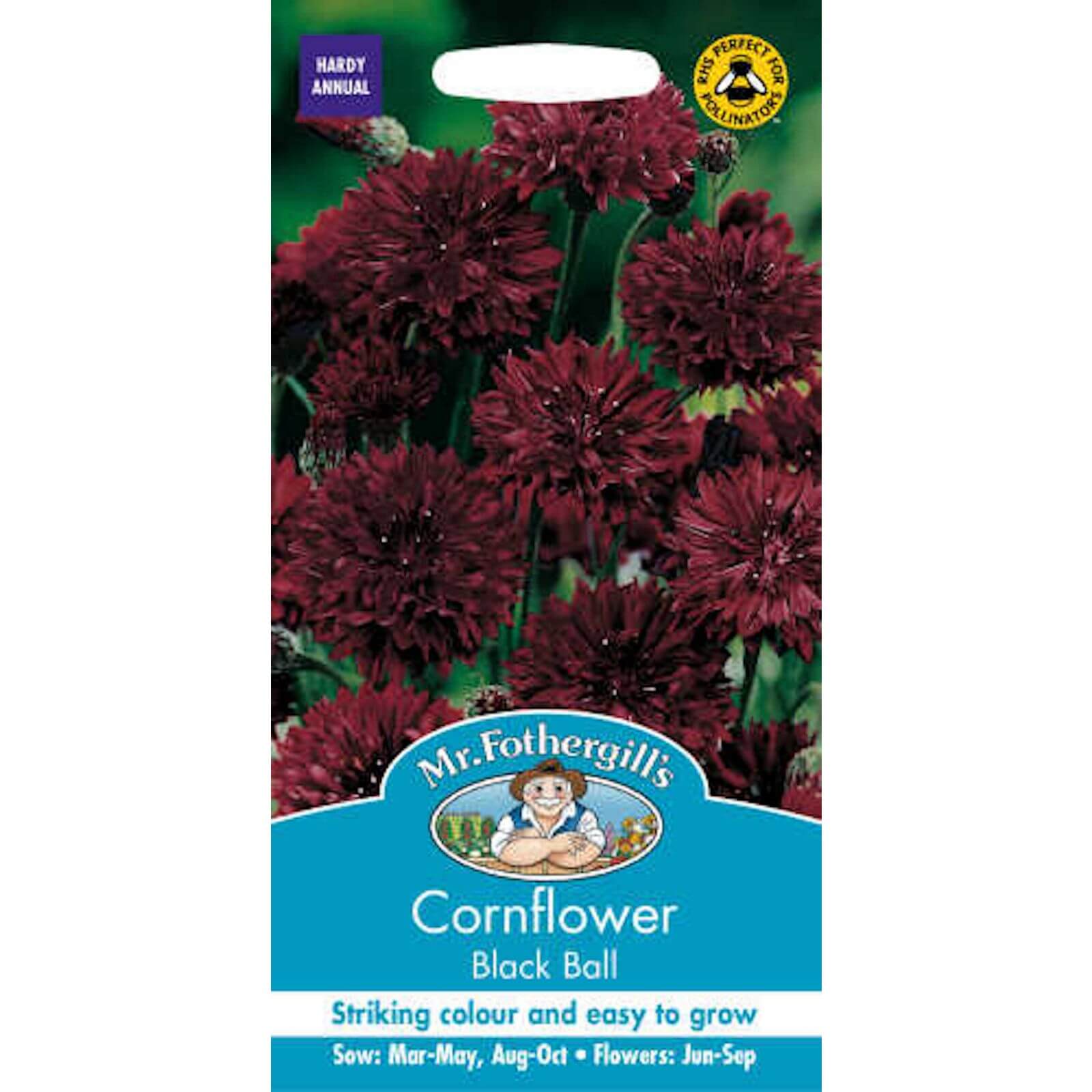 Photo of Mr. Fothergills Cornflower Black Ball -centaurea Cyanus- Seeds