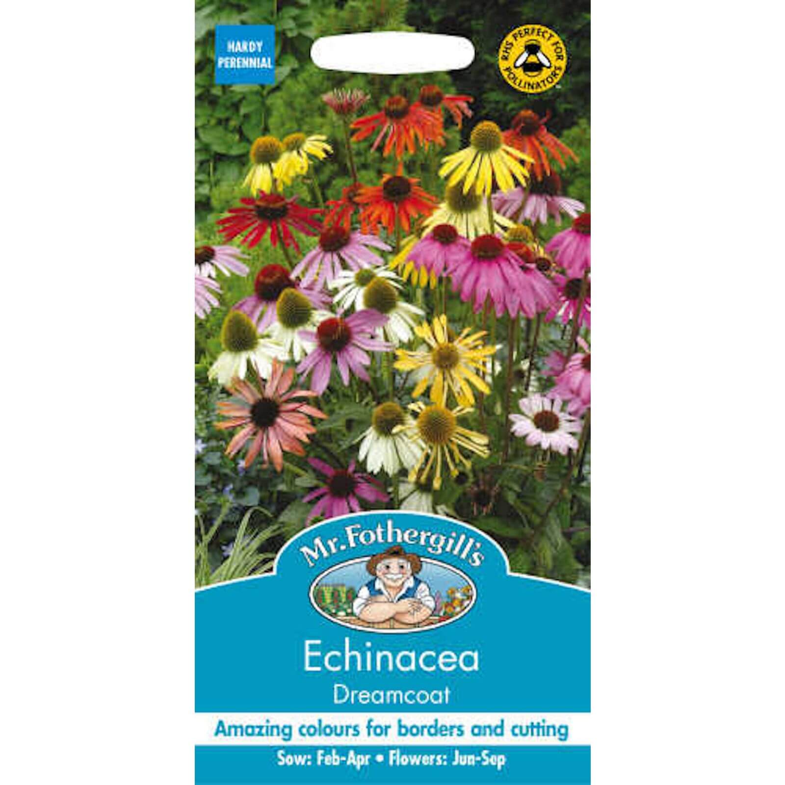 Photo of Mr. Fothergills Echinacea Dreamcoat -echinacea Purpurea- Seeds