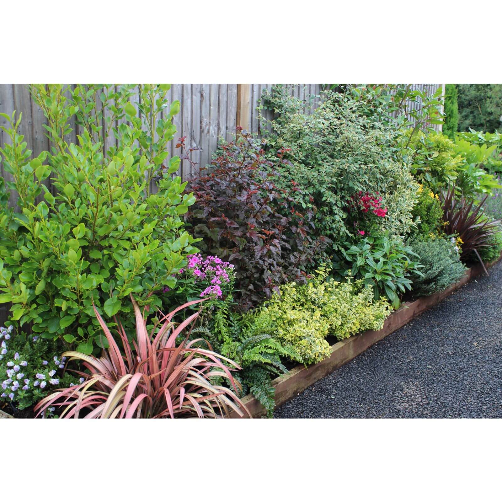 Photo of Evergreen Border Collection - 4m X 90cm