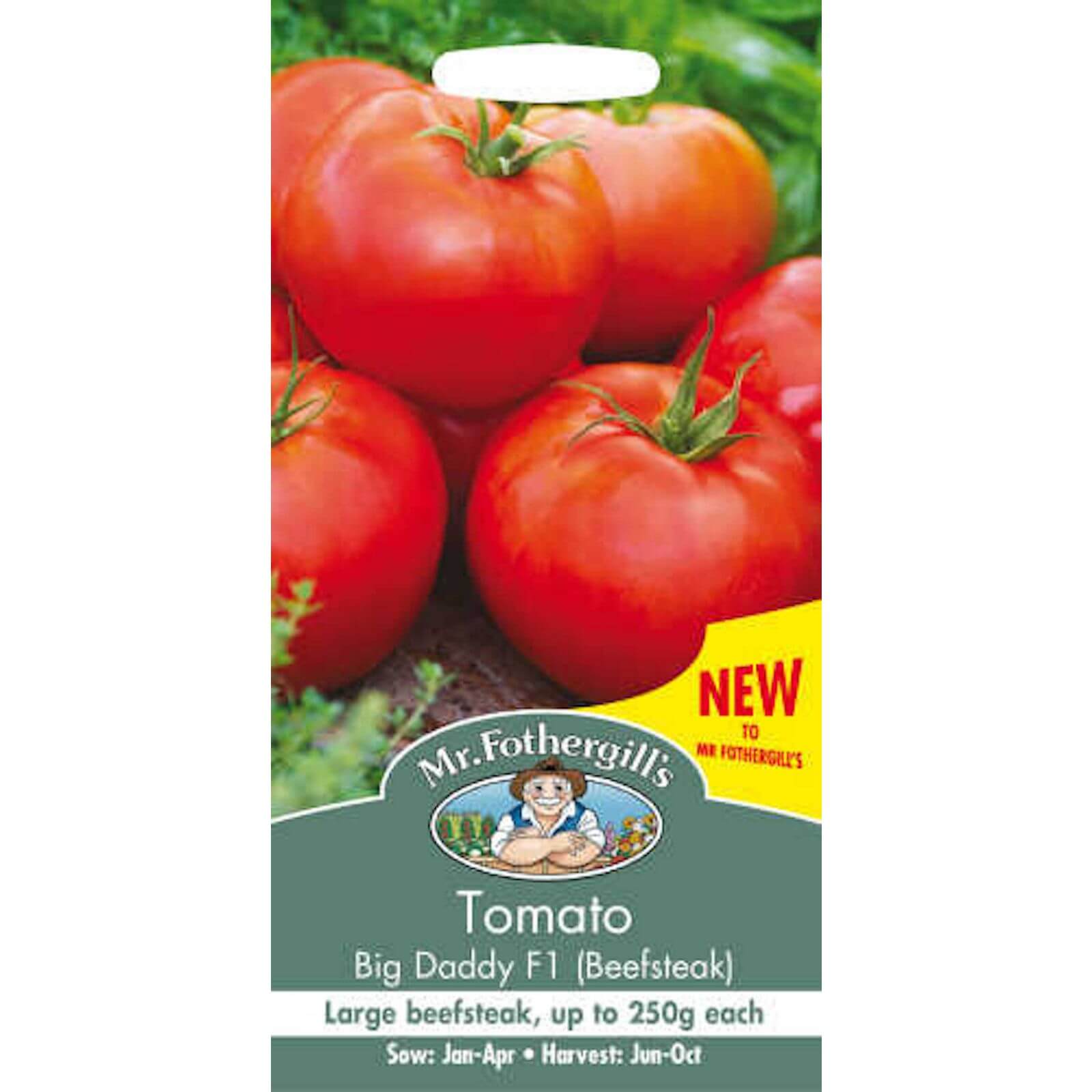 Mr. Fothergill's Tomato Big Daddy F1 Fruit Seeds
