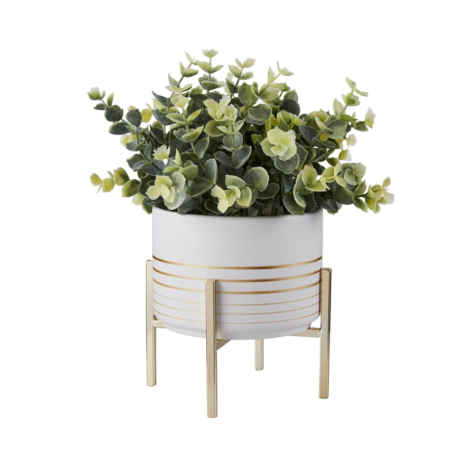 Photo of Potted Plant - White With Gold Legs