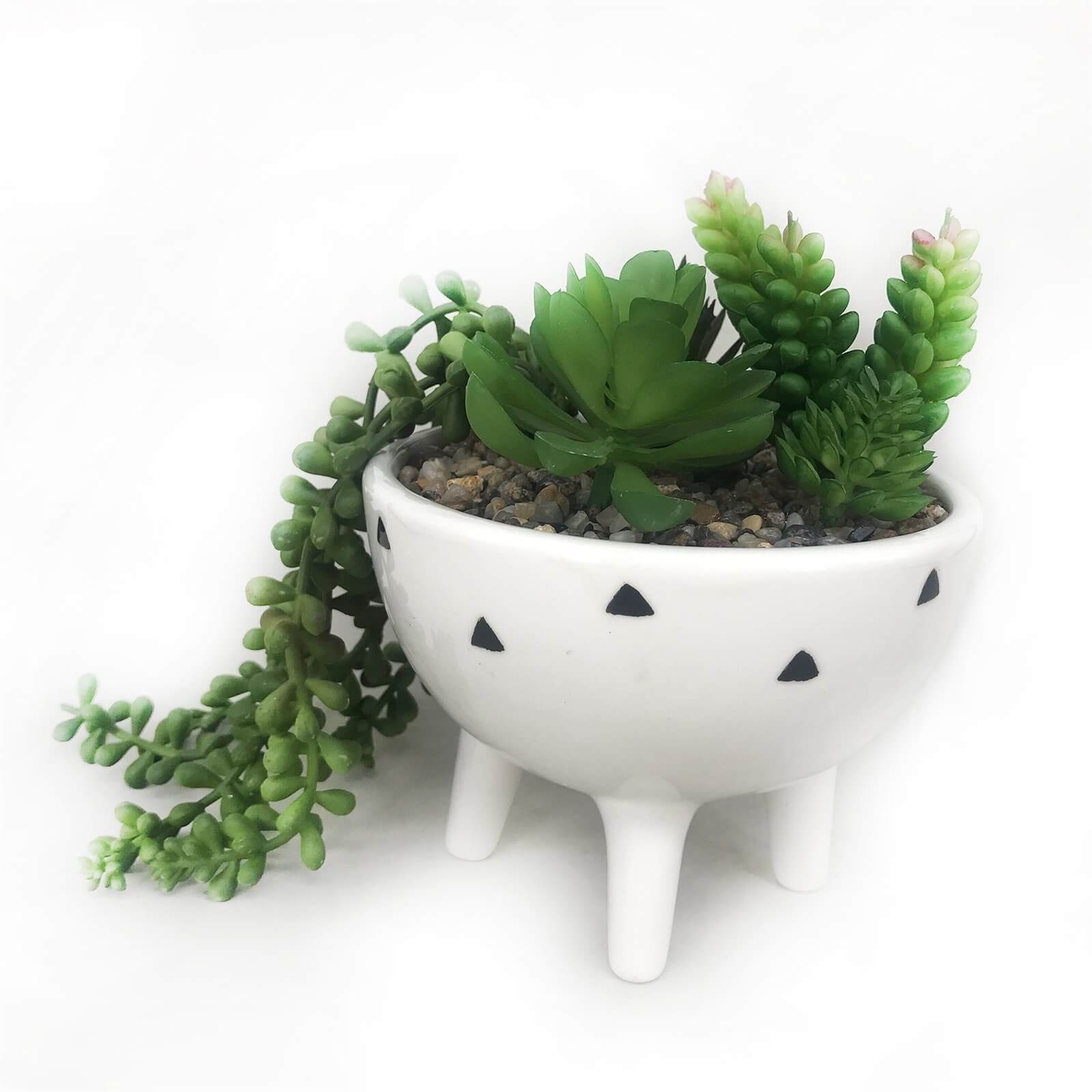 Photo of Trailing Plant In White Pot With Legs