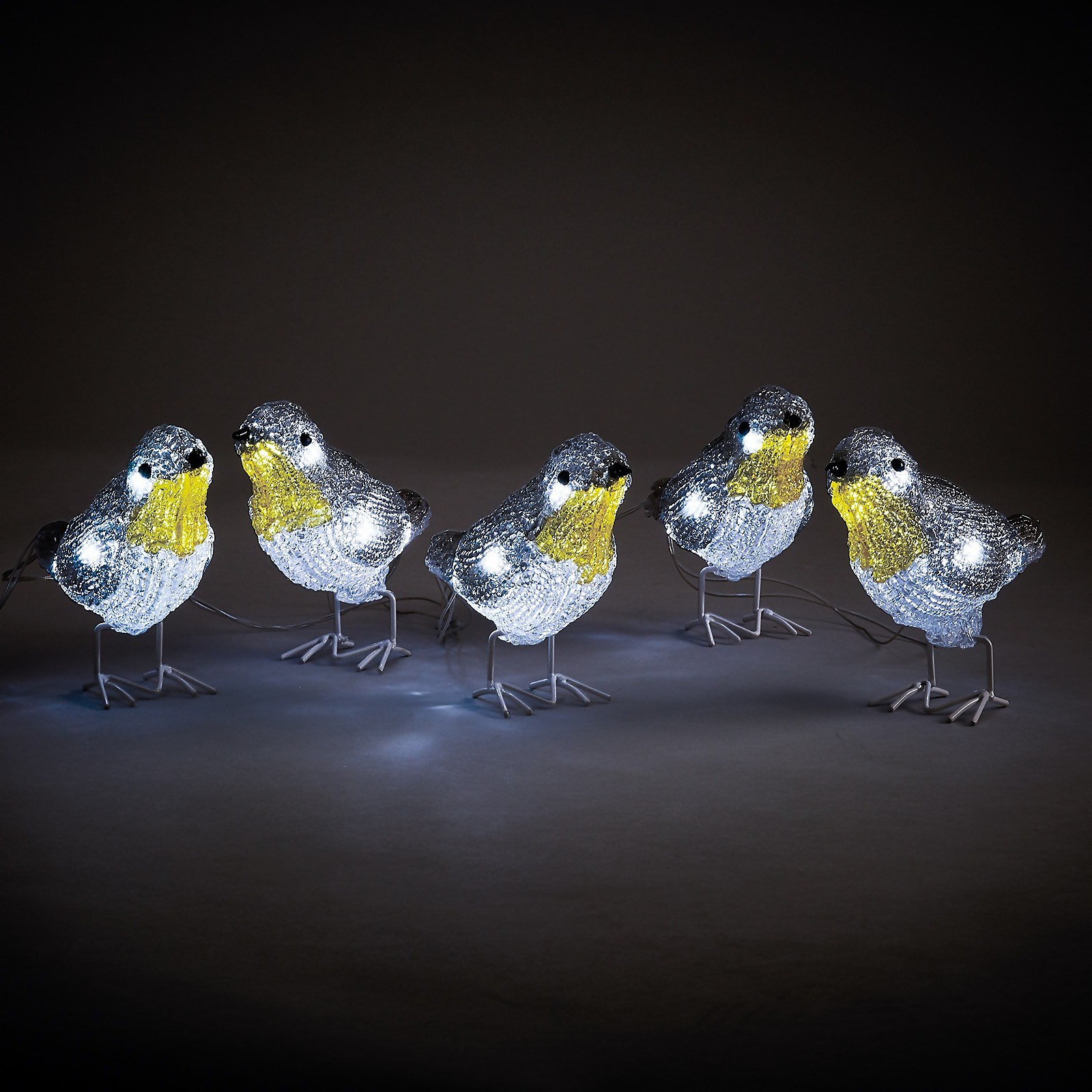 Photo of Acrylic Led Robins Outdoor Christmas Decoration - Set Of 5 -battery Operated-