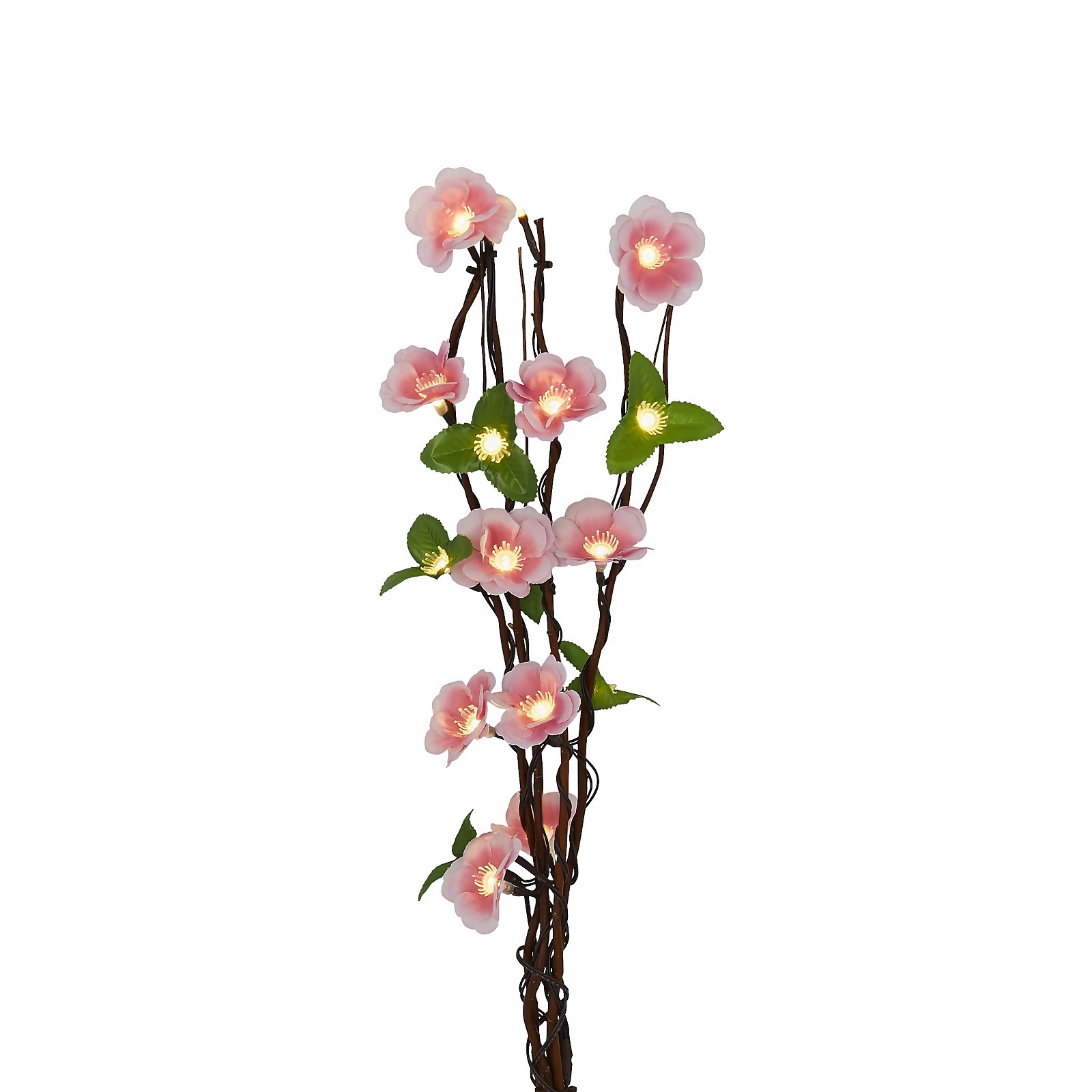 Photo of 50cm Blossom Battery Twig Lights