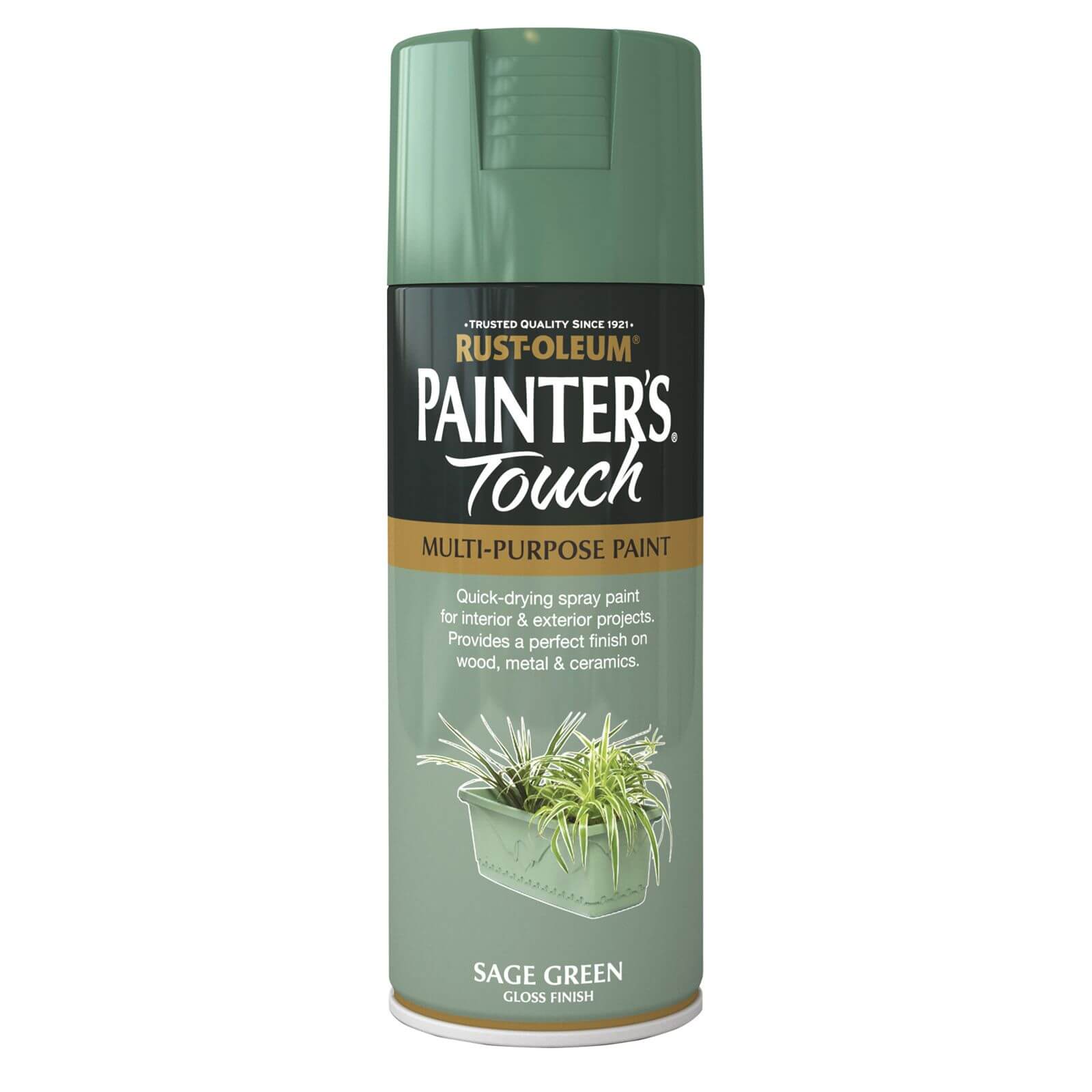 Rust-Oleum Painter's Touch Multi-Purpose Gloss Spray Paint Sage Green - 400ml
