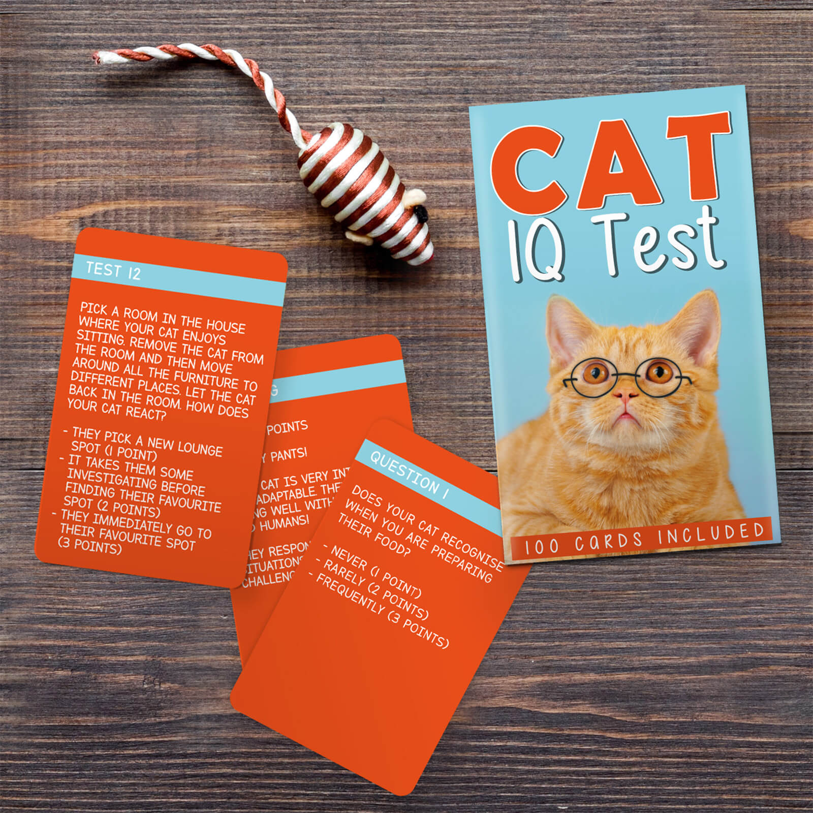 Cat IQ Test Cards
