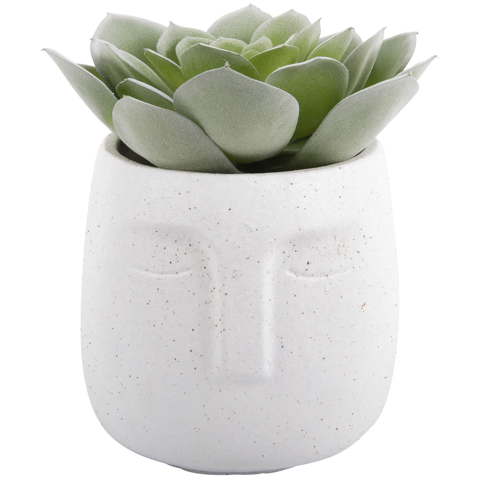 White Cement Face Plant Pot