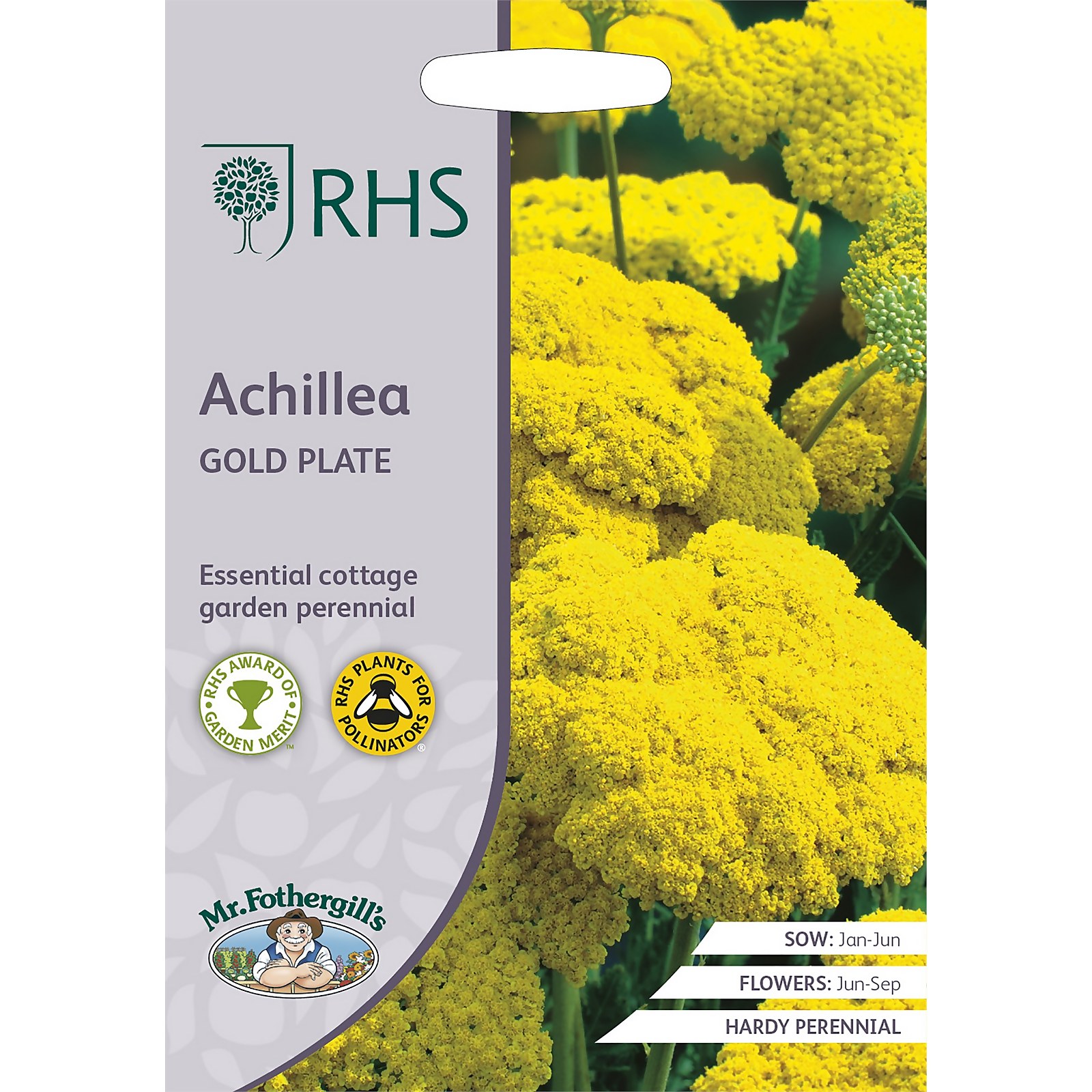 Photo of Rhs Achillea Gold Plate