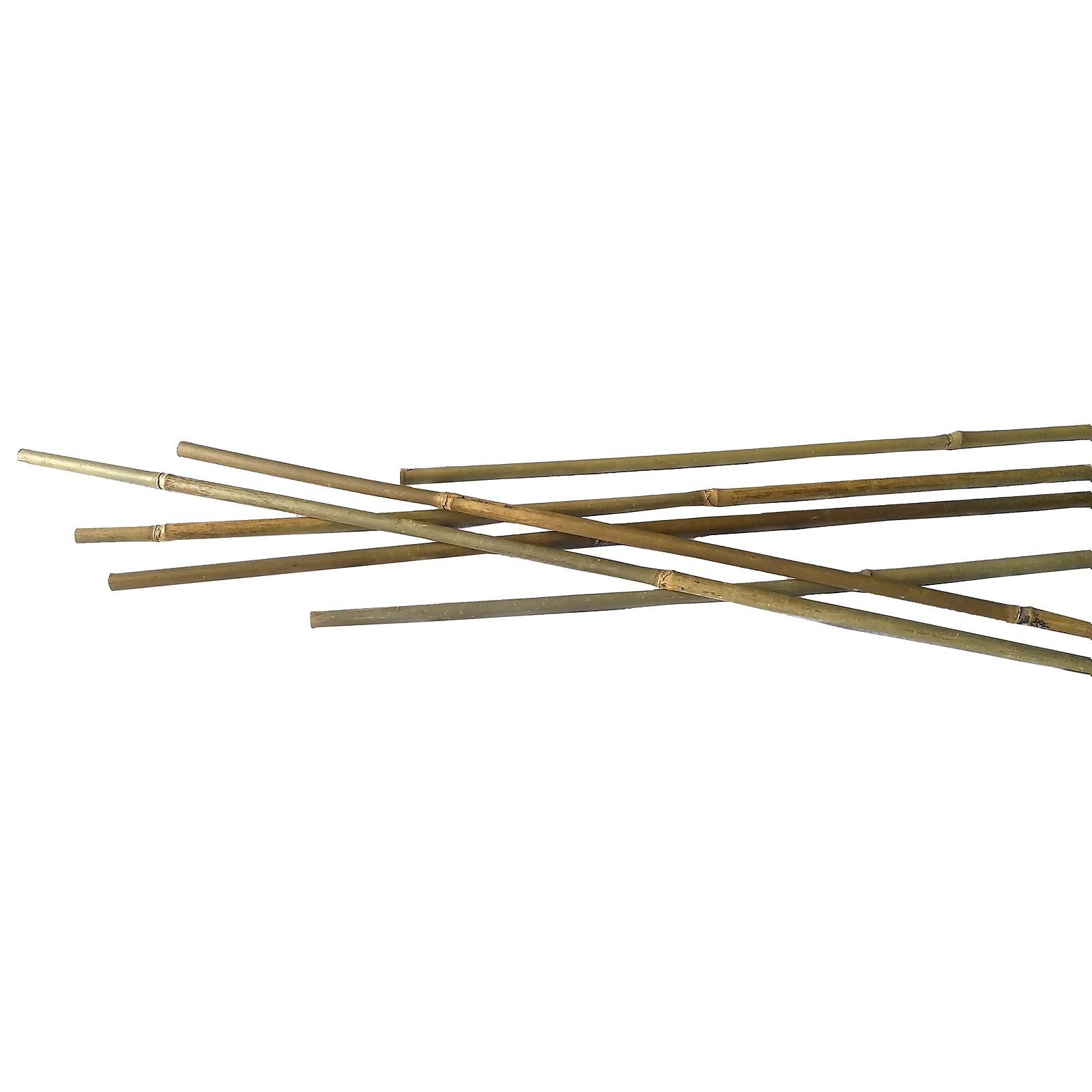 Photo of 10 Pack Bamboo Canes - 2.1m/7ft