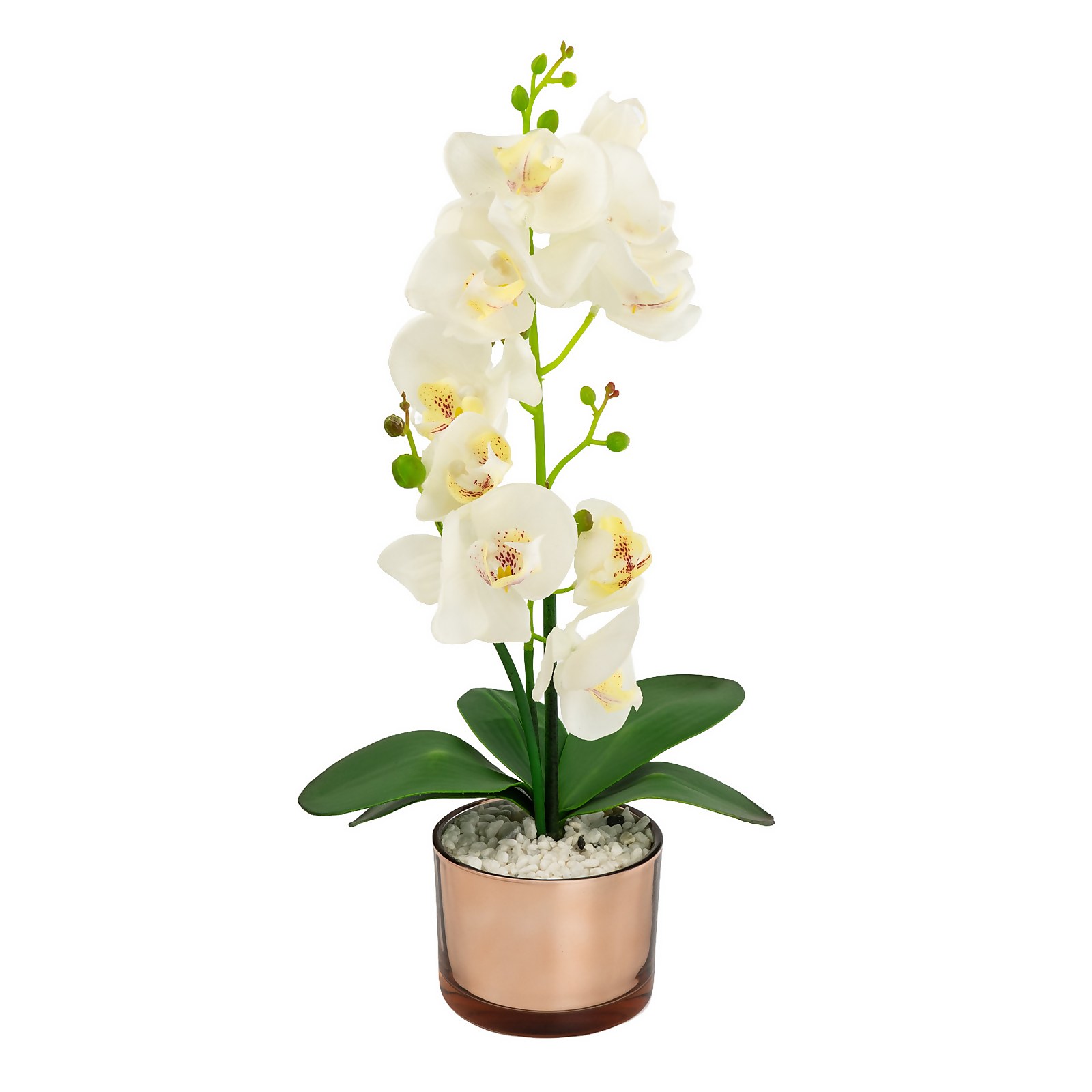Photo of Large Real Touch Orchid