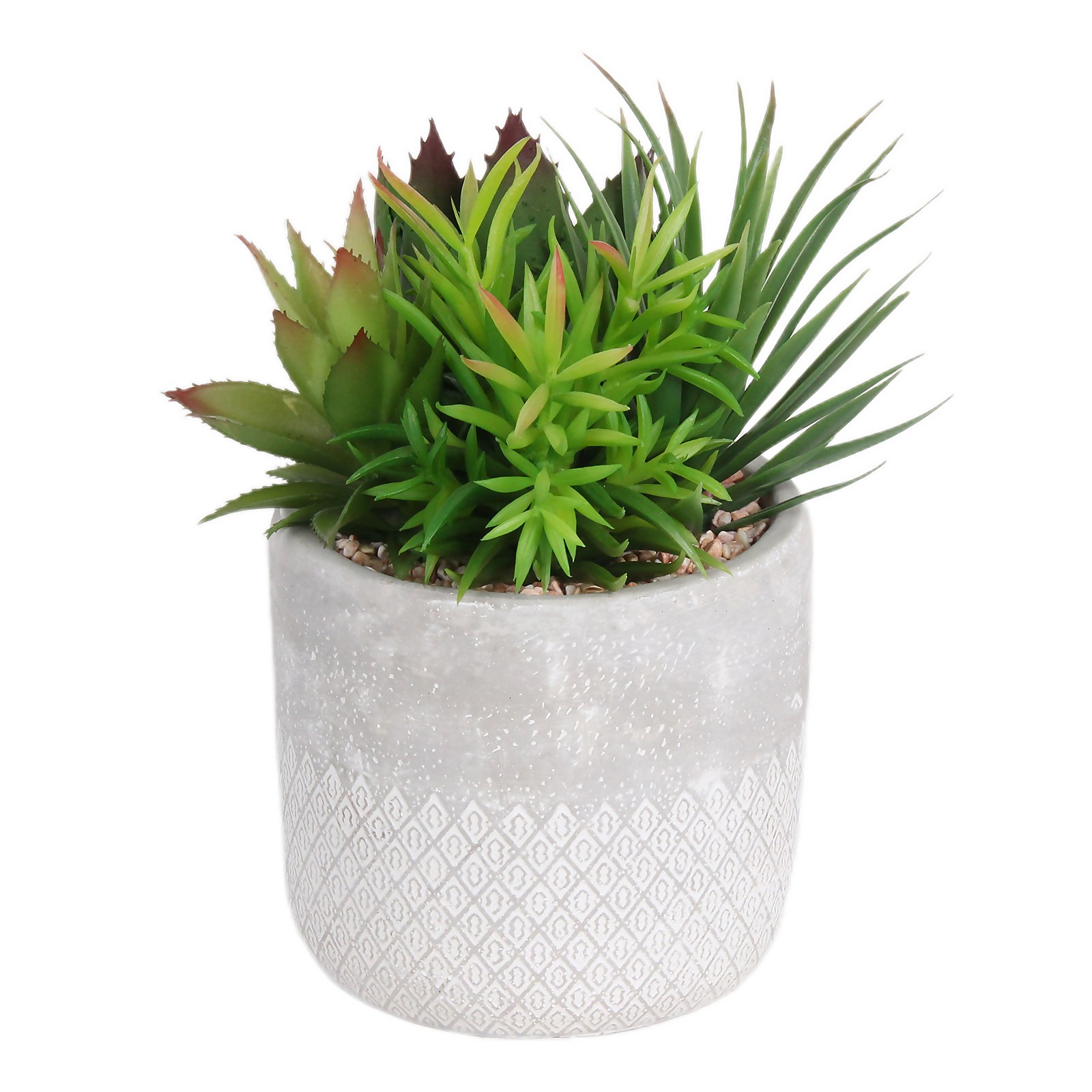 Photo of Mixed Succulent In Grey Pot