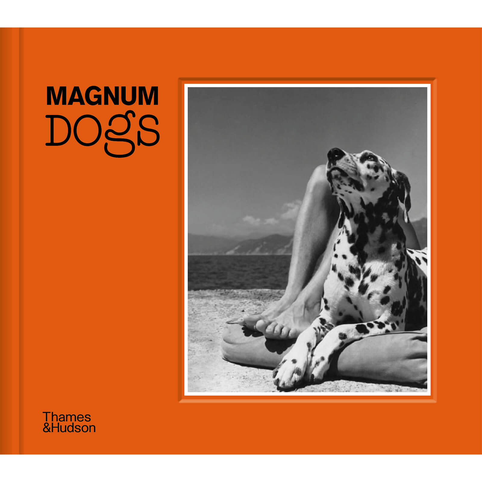 Thames and Hudson Ltd: Magnum Dogs
