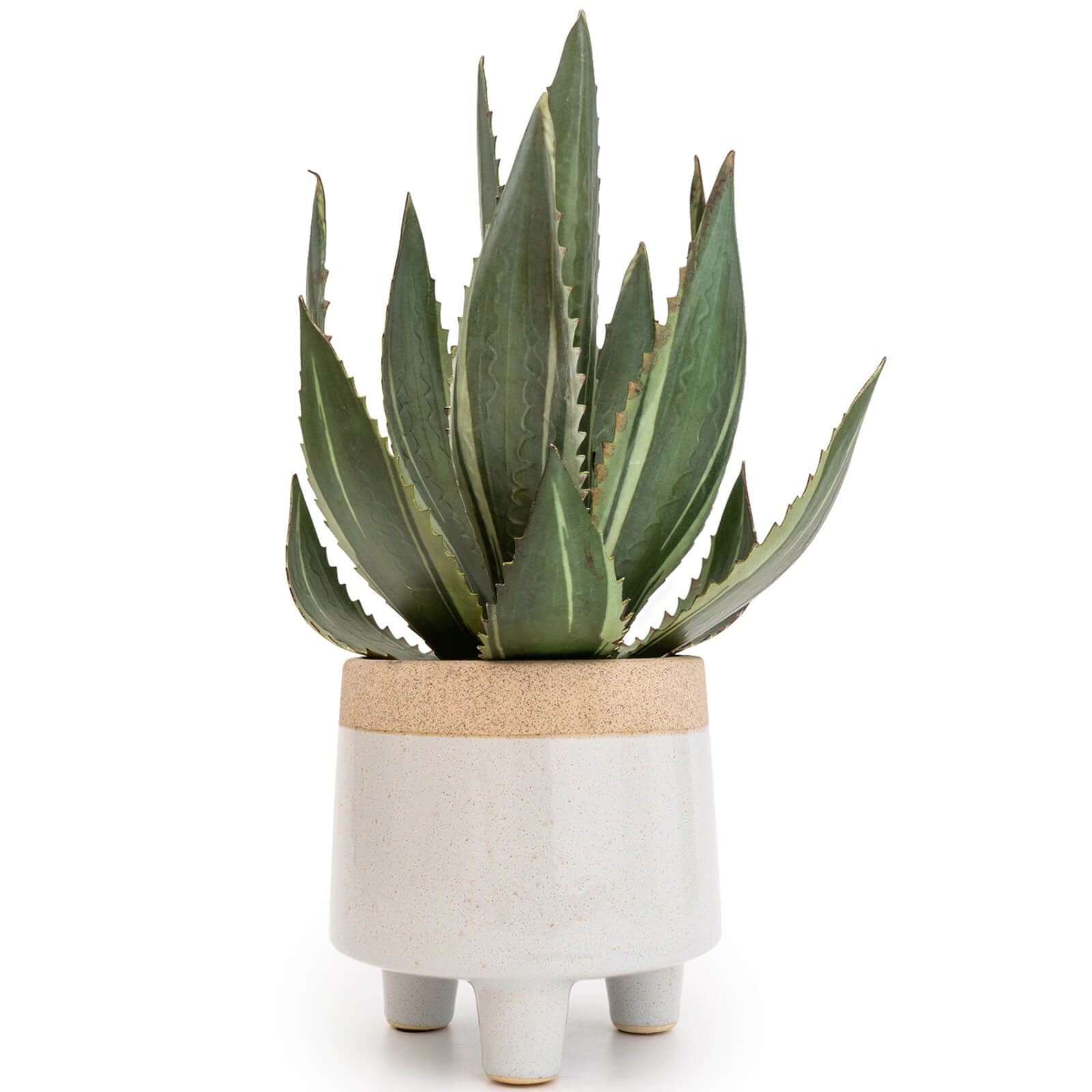 Faux Aloe Vera Plant - White Pot