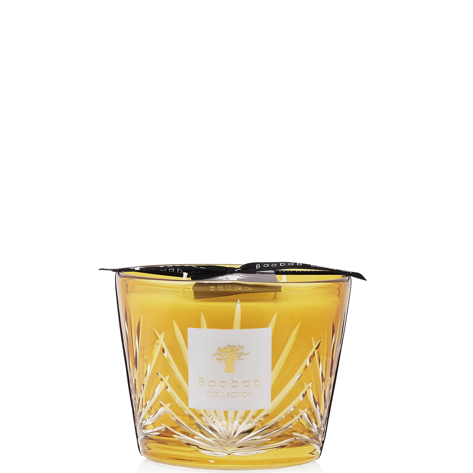 

Baobab Collection Palm Palma Candle (Various Sizes) - 1150g