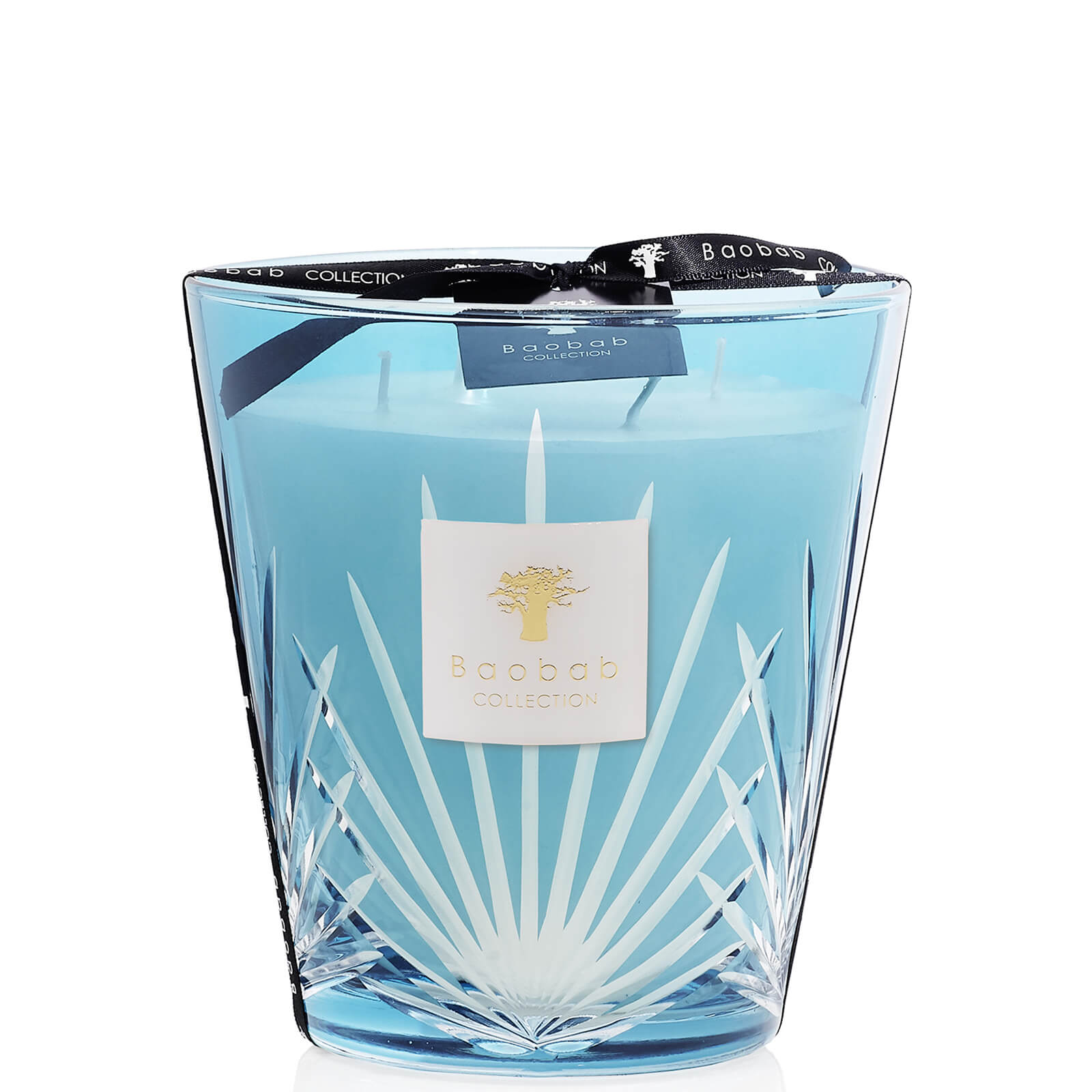 

Baobab Collection Palm Candle West Palm Candle (Various Sizes) - 2050g