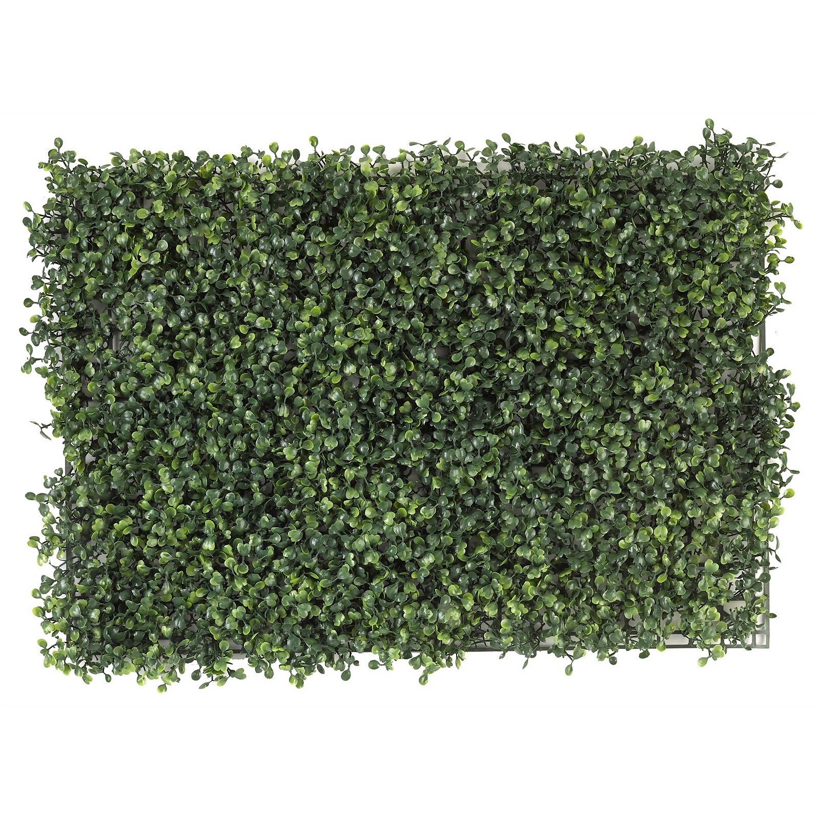 Photo of Boxwood Hedge Topiary Screening Panel - 60x40cm