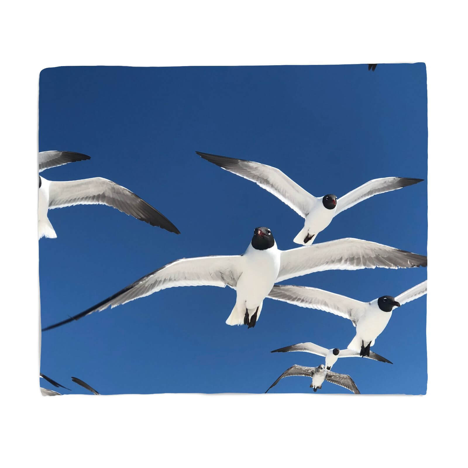 Seagulls Fleece Blanket - S