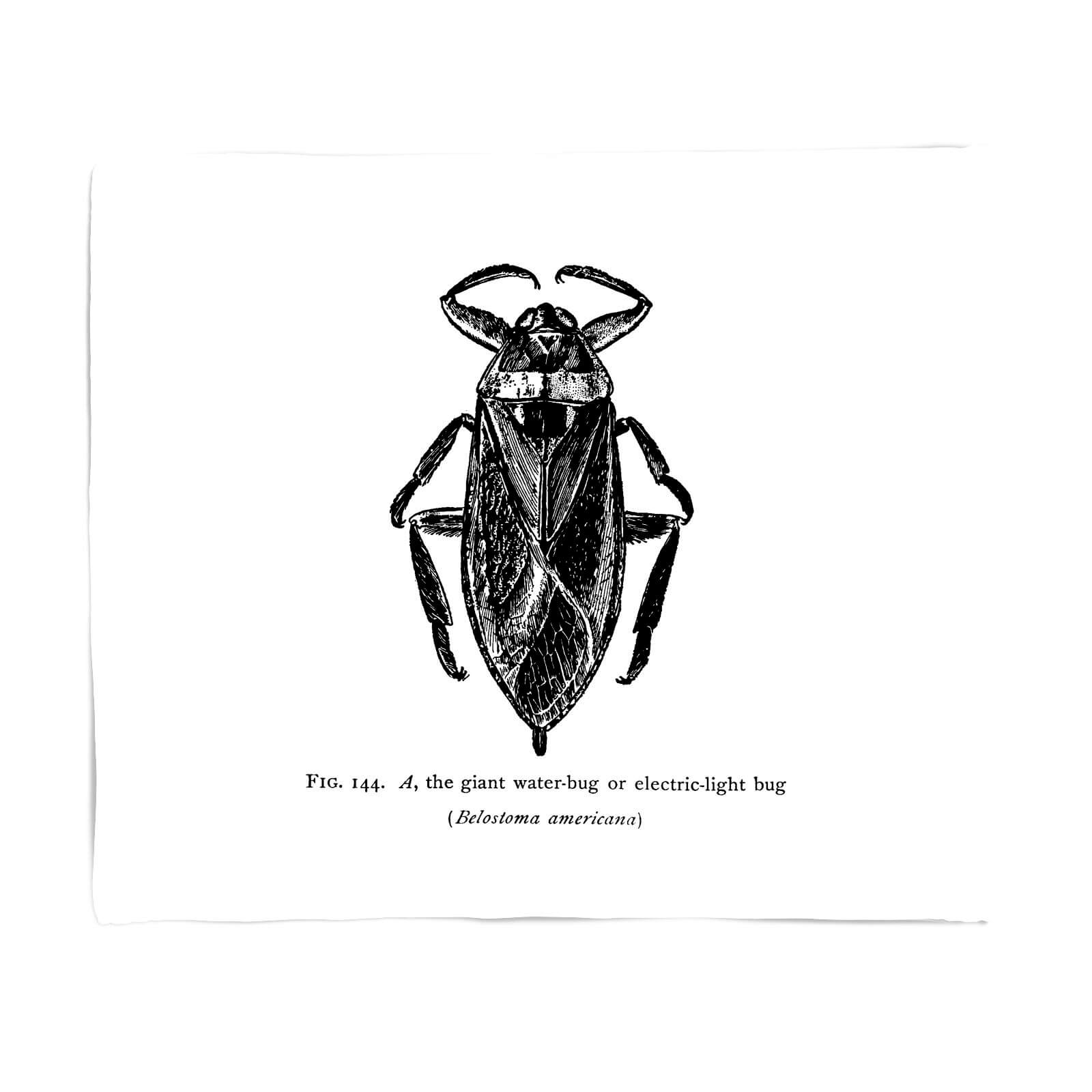 Water Bug Fig. Fleece Blanket - S