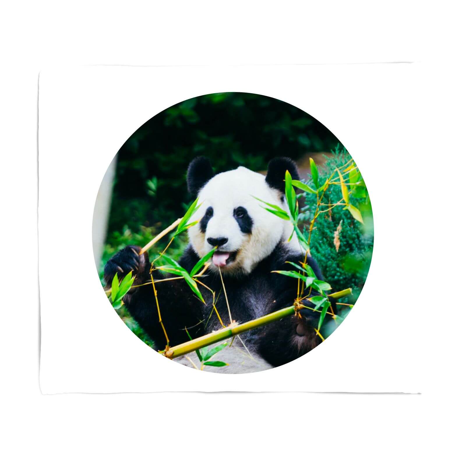 Greedy Panda Fleece Blanket - S